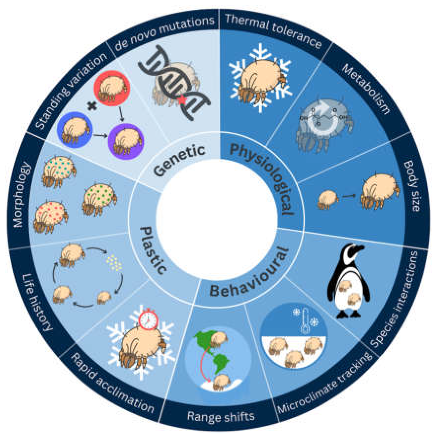 Diversity 15 00047 g002 Diversity 15 00047 g002