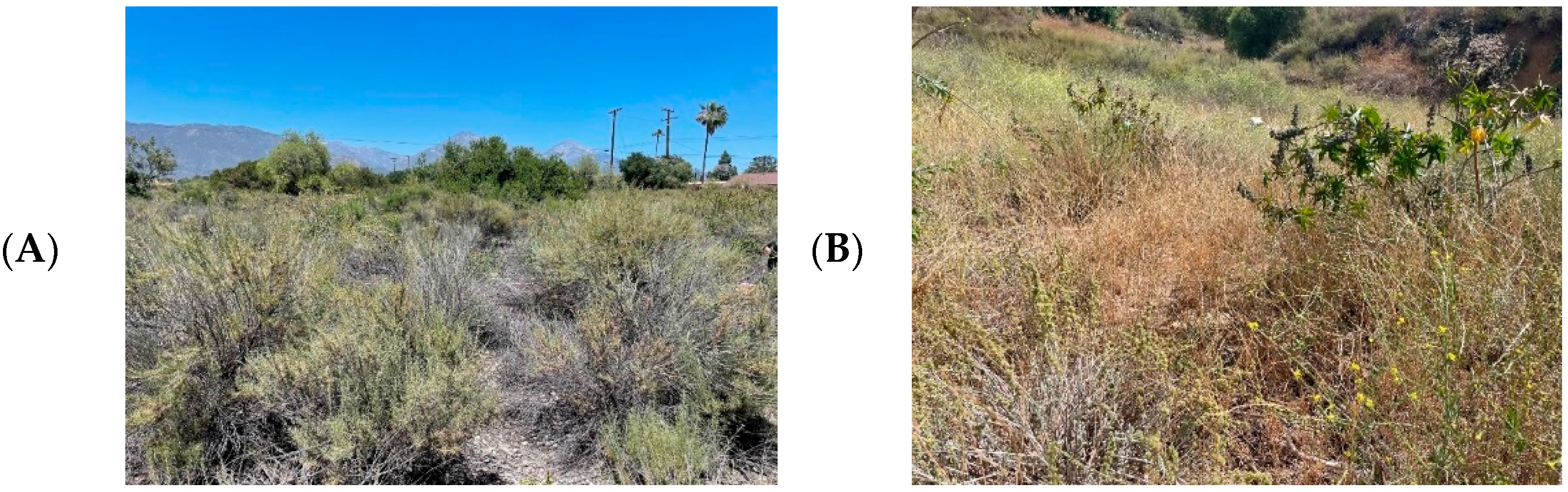 Diversity 15 00050 g001 Diversity 15 00050 g001