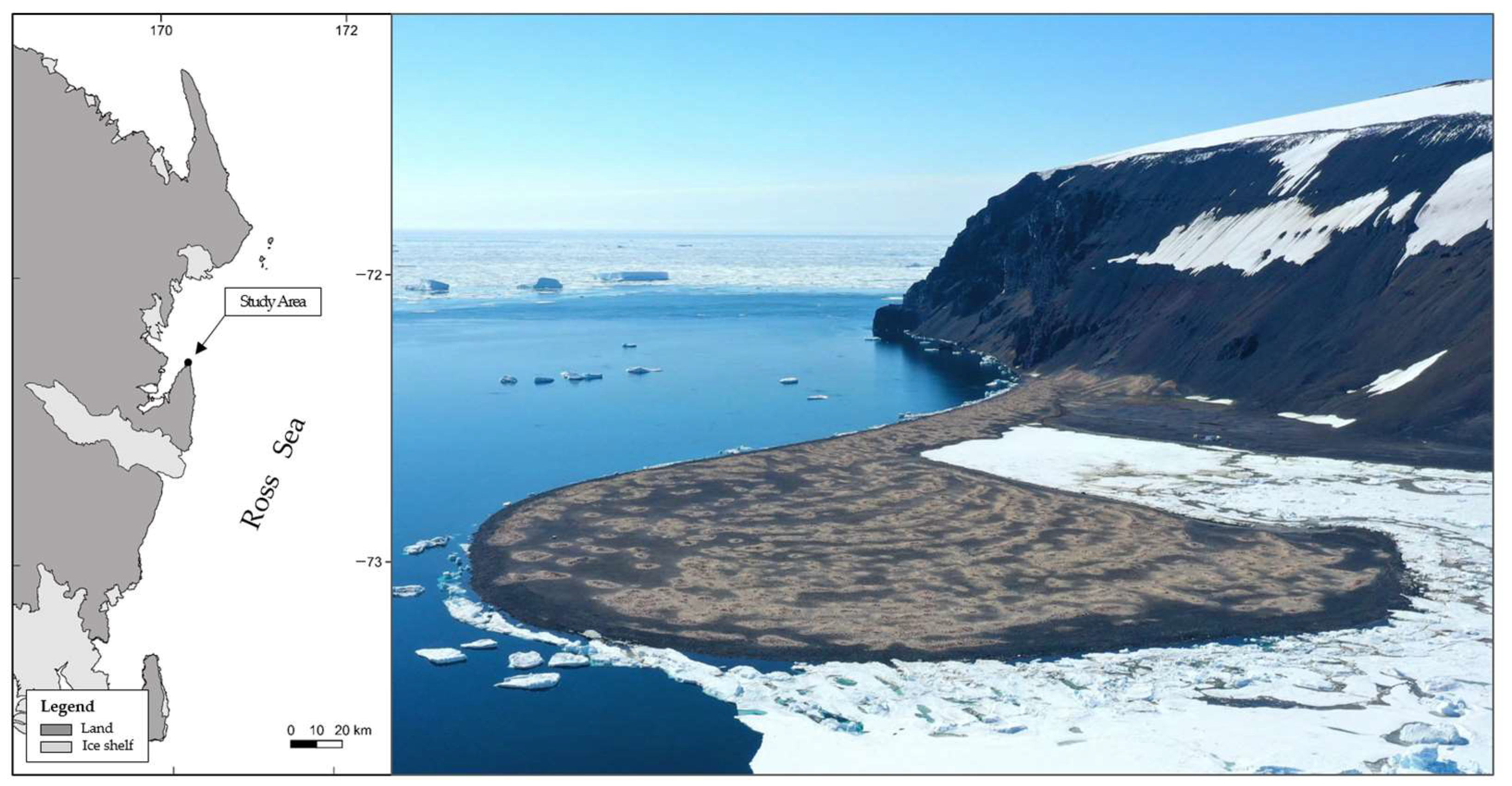 Diversity 15 00051 g002 Diversity 15 00051 g002