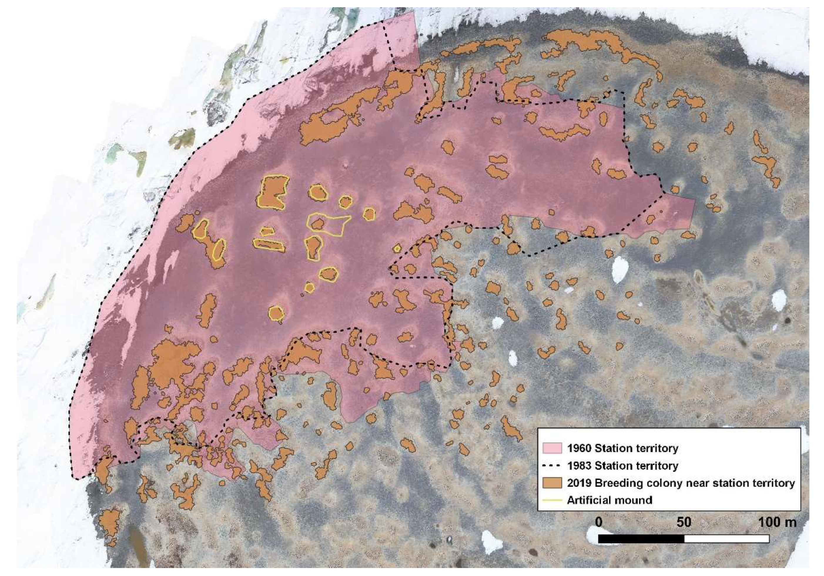 Diversity 15 00051 g005 Diversity 15 00051 g005