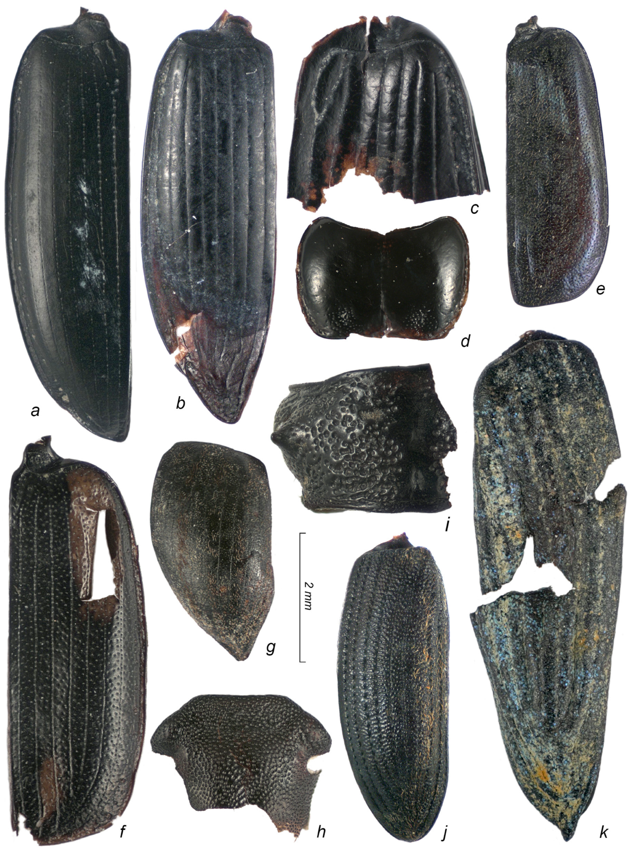 Diversity 15 00056 g003 Diversity 15 00056 g003