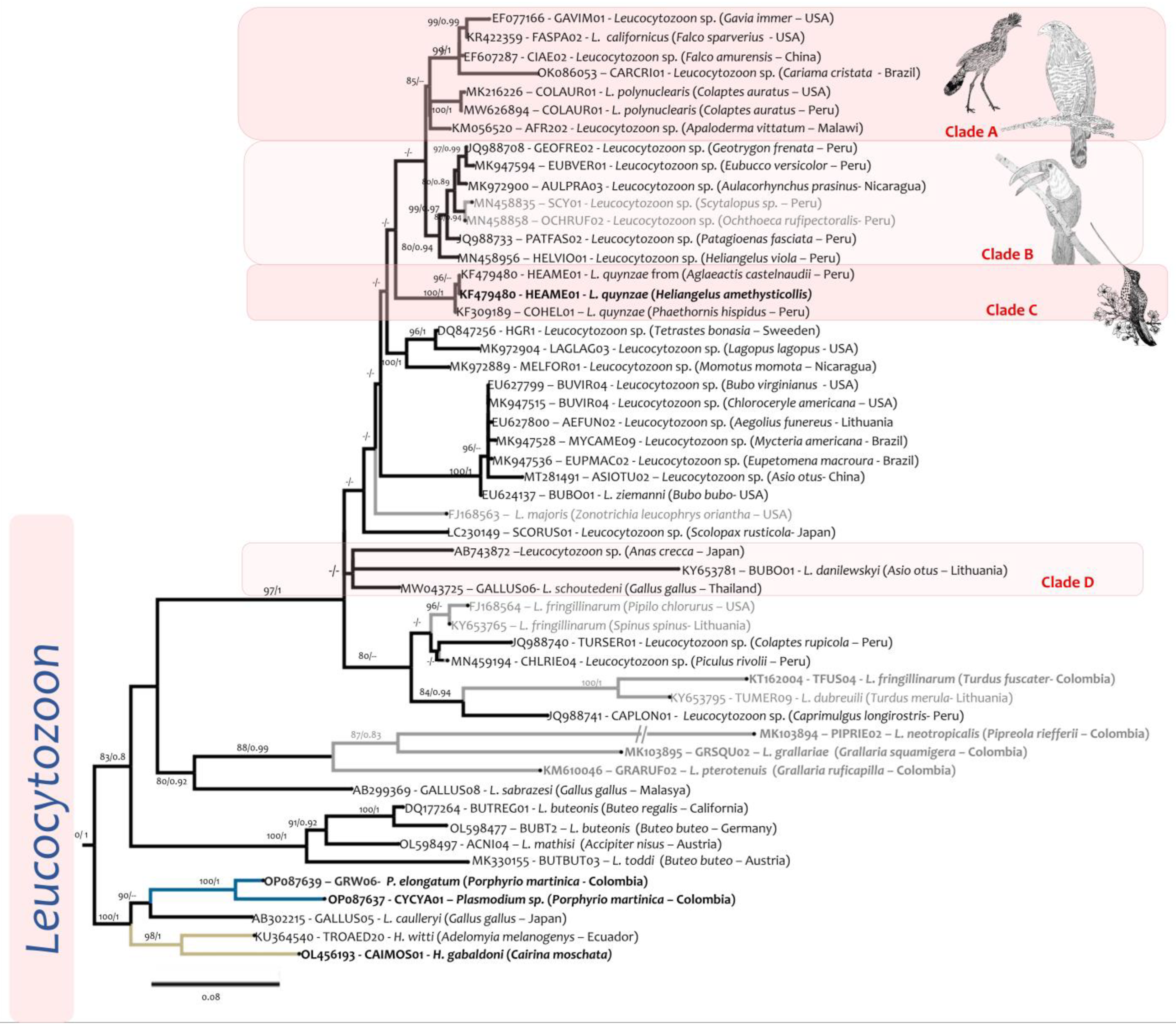 Diversity 15 00057 g007 Diversity 15 00057 g007