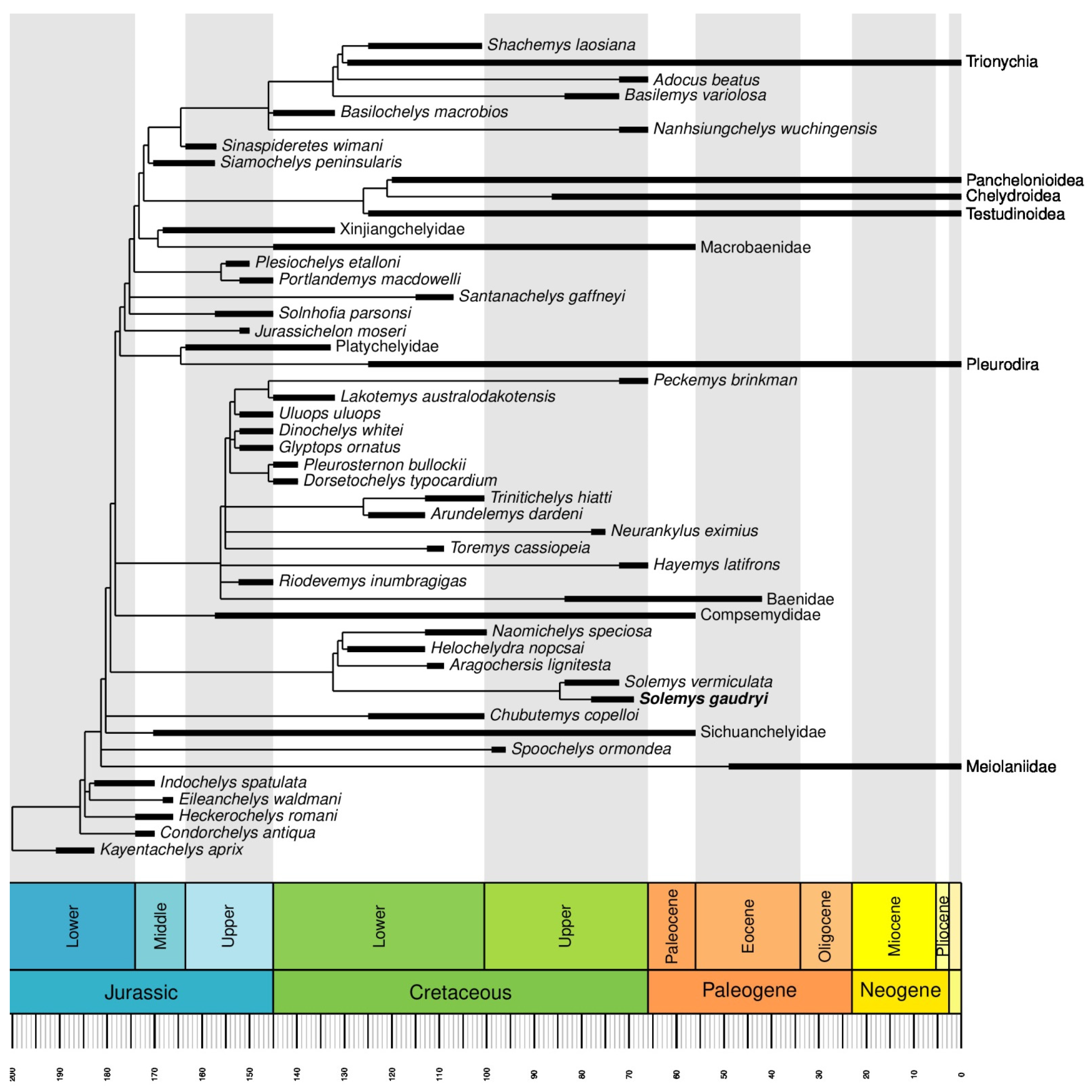 Diversity 15 00058 g005 Diversity 15 00058 g005