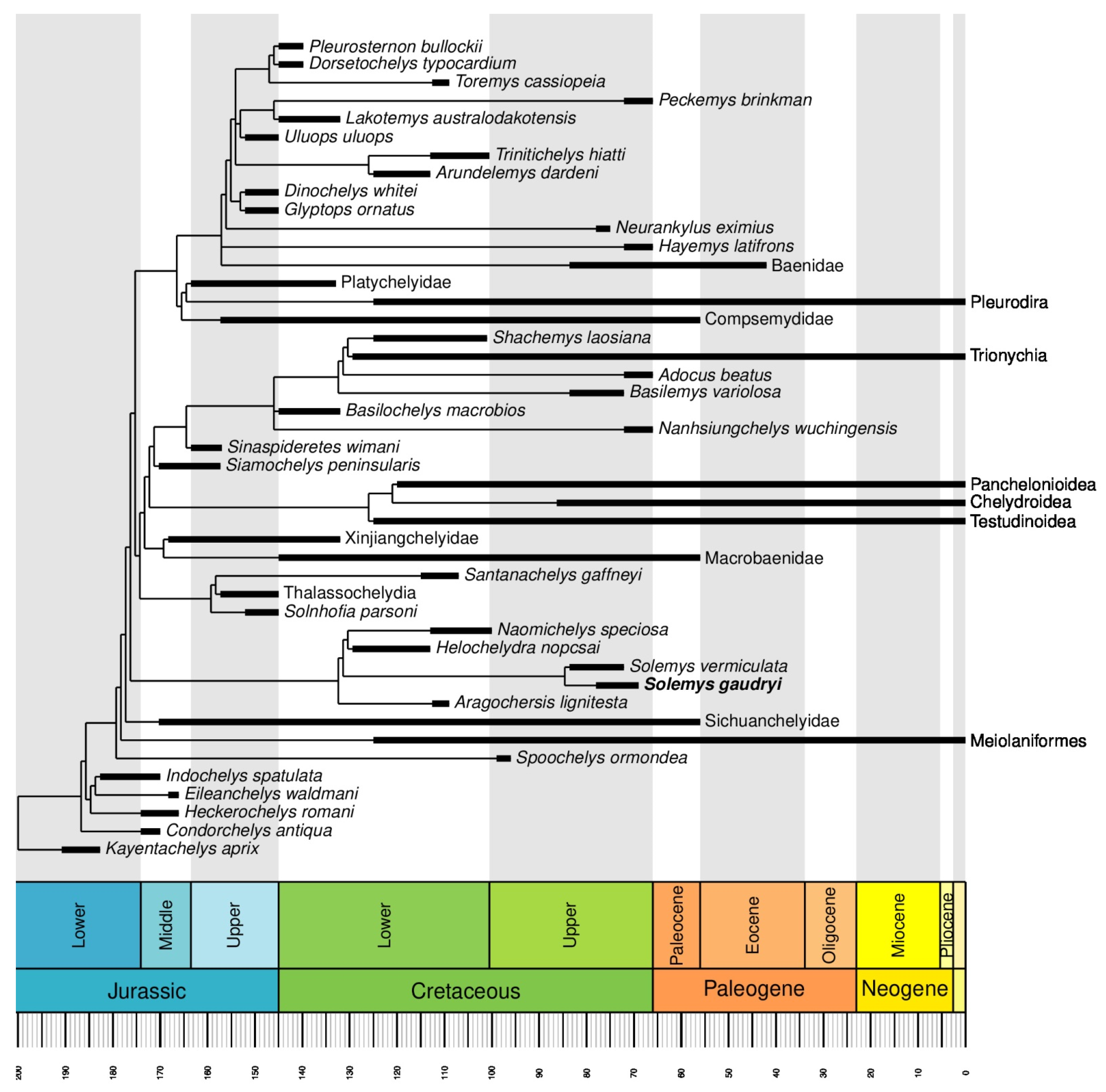 Diversity 15 00058 g006 Diversity 15 00058 g006