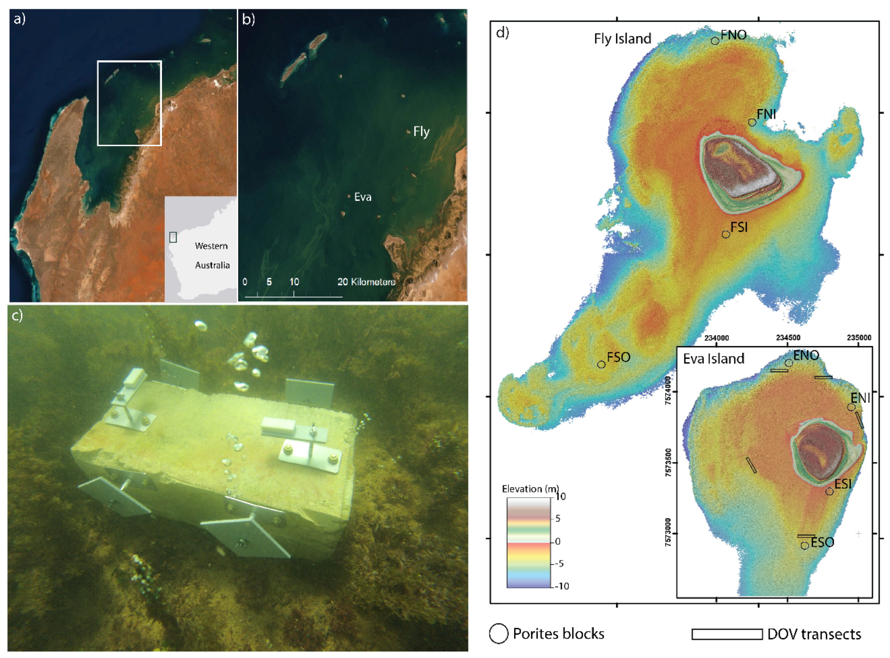 Diversity 15 00062 g001