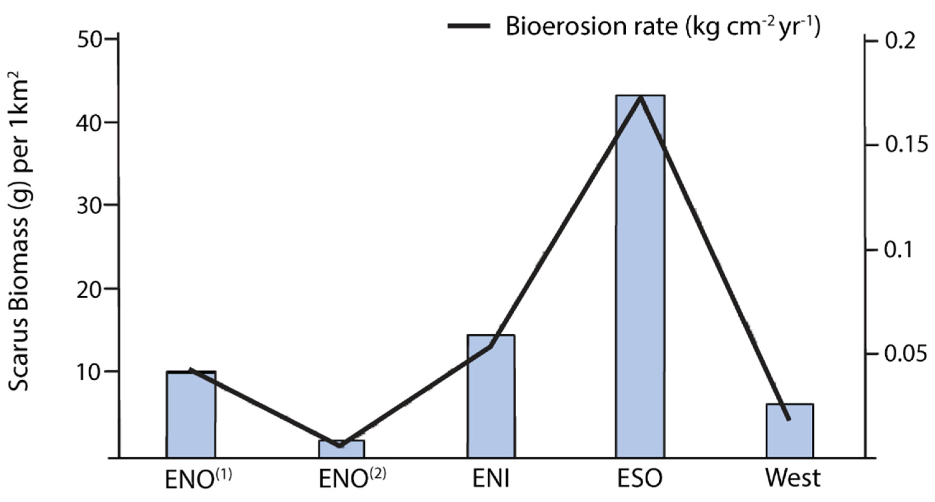 Diversity 15 00062 g005