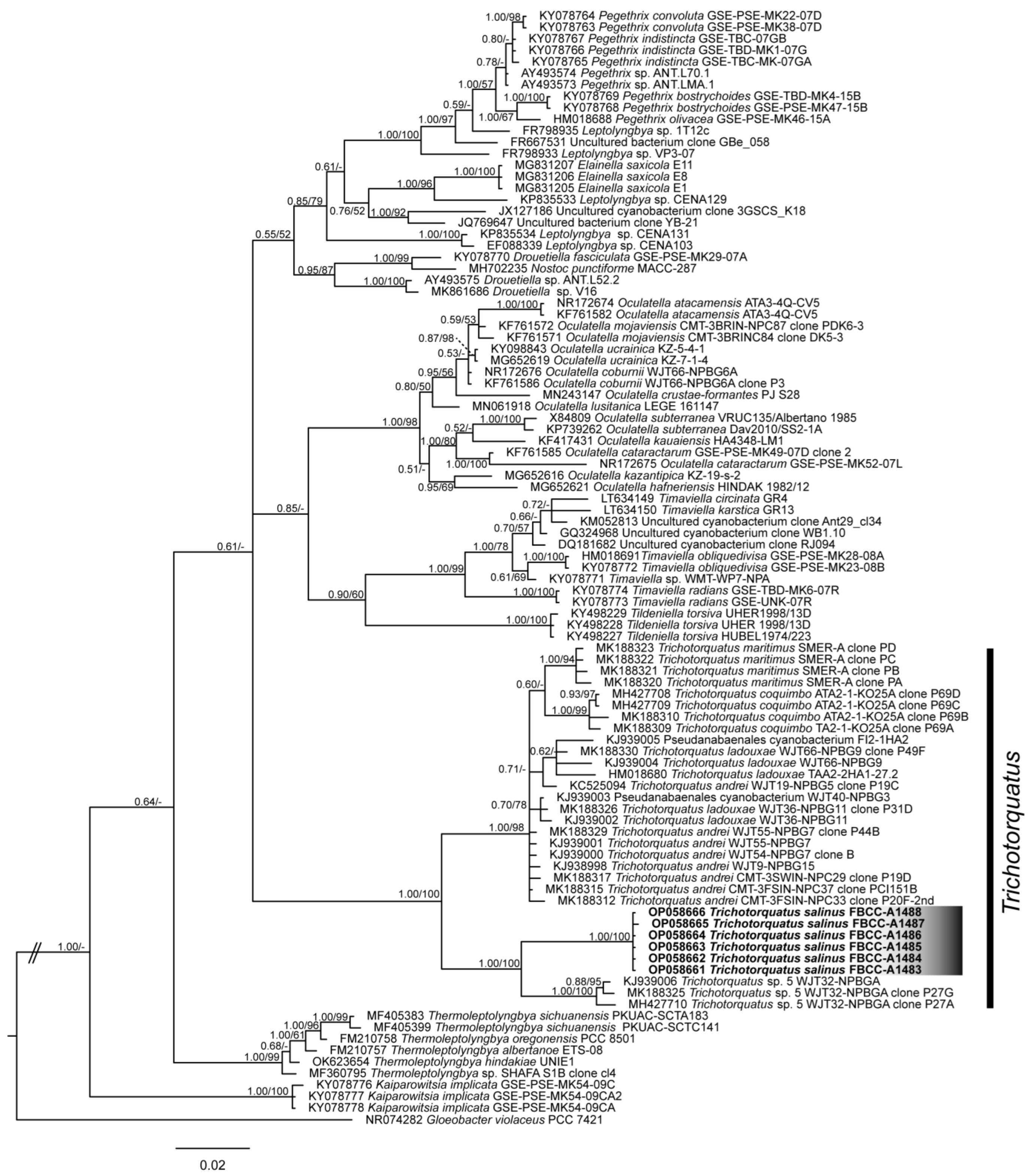 Diversity 15 00065 g005 Diversity 15 00065 g005