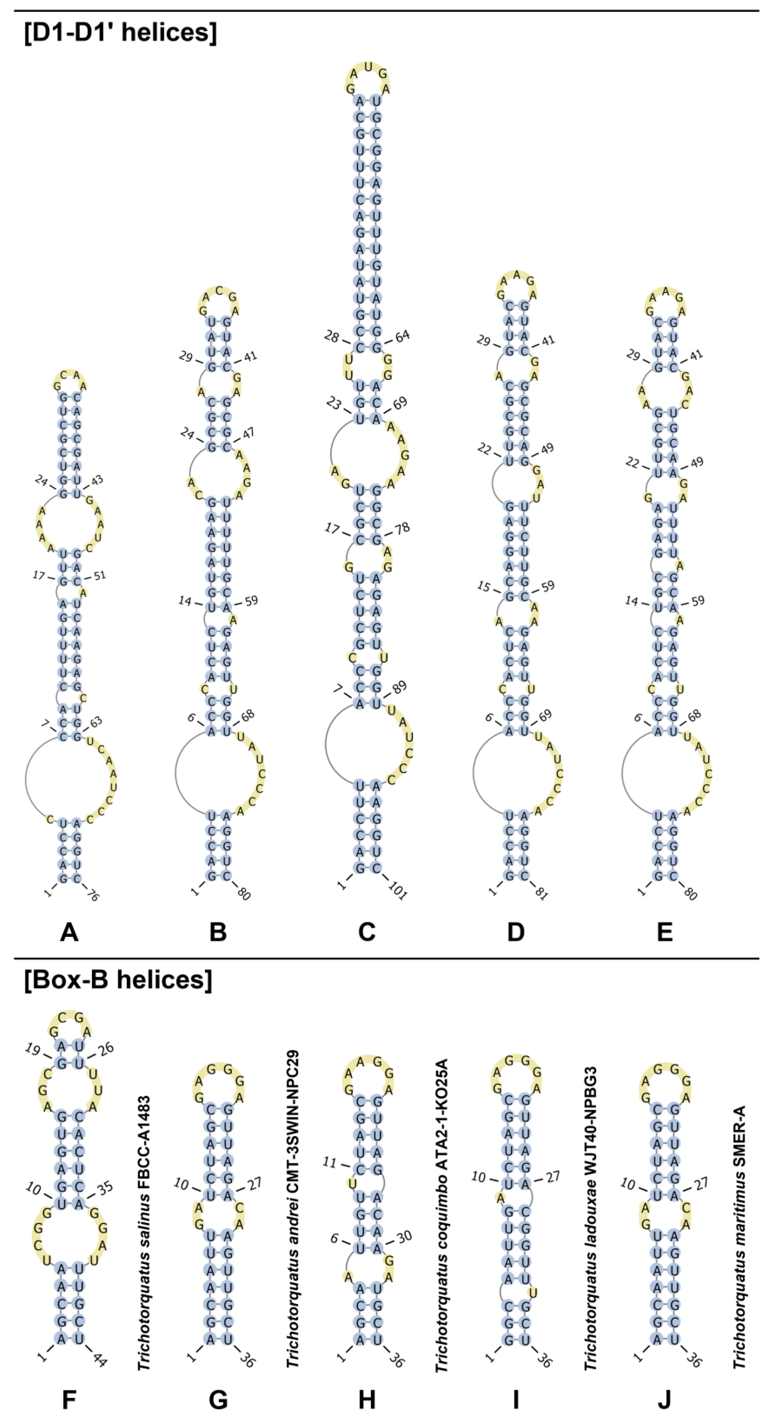 Diversity 15 00065 g006 Diversity 15 00065 g006