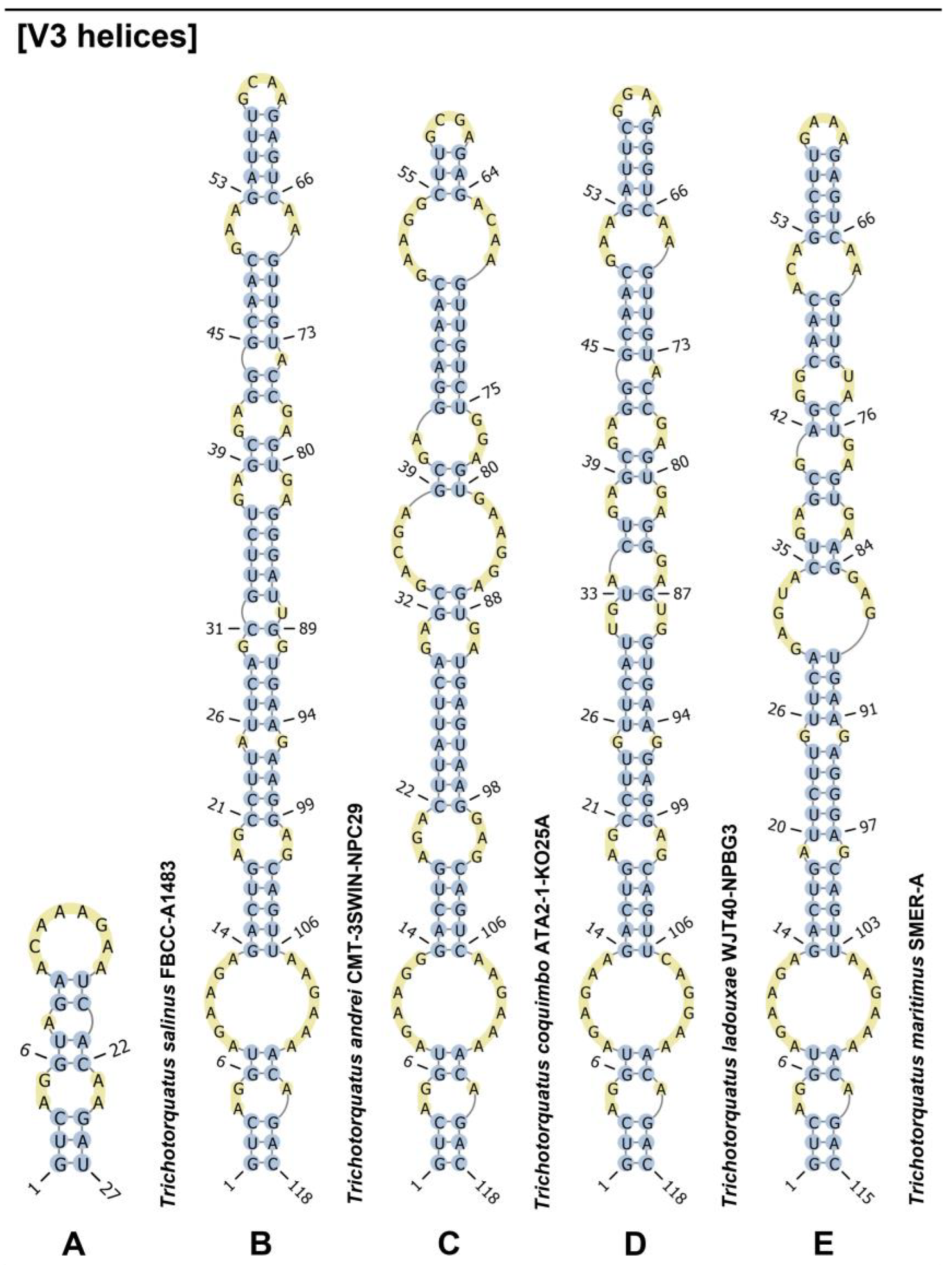 Diversity 15 00065 g007 Diversity 15 00065 g007