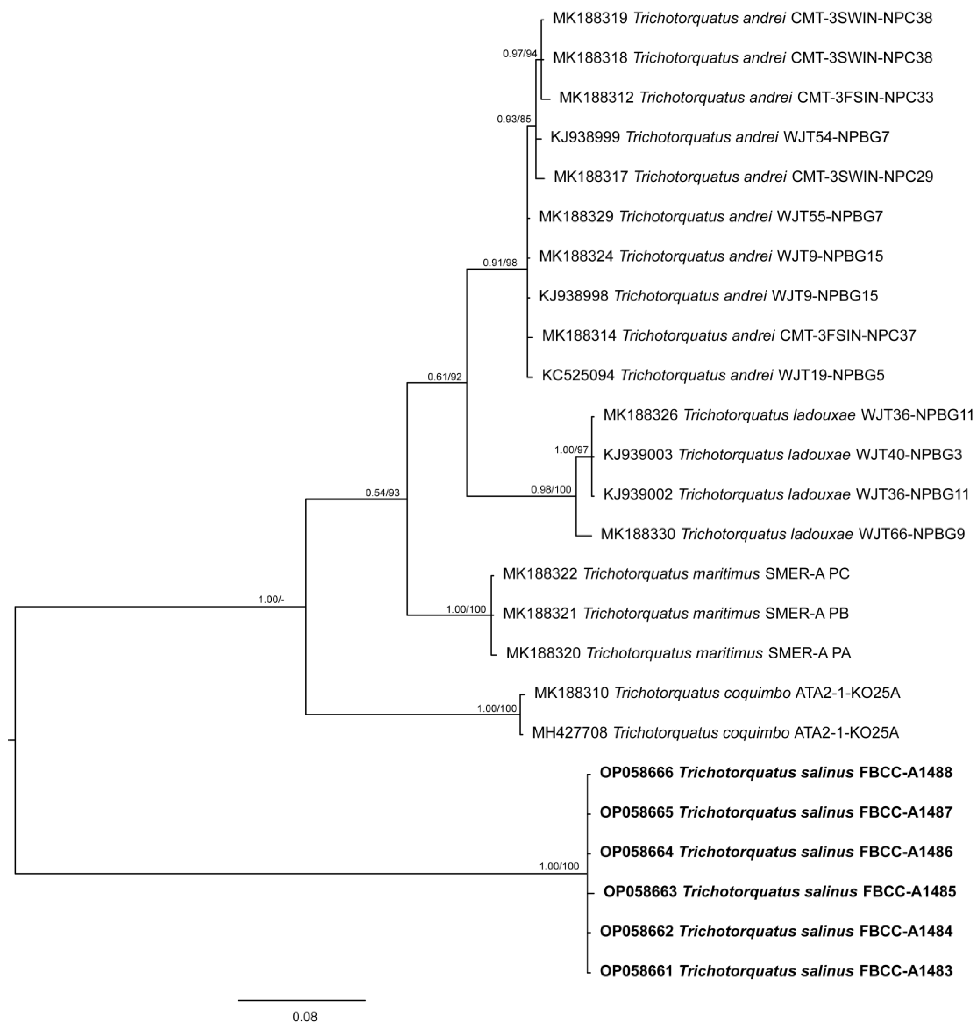 Diversity 15 00065 g008 Diversity 15 00065 g008