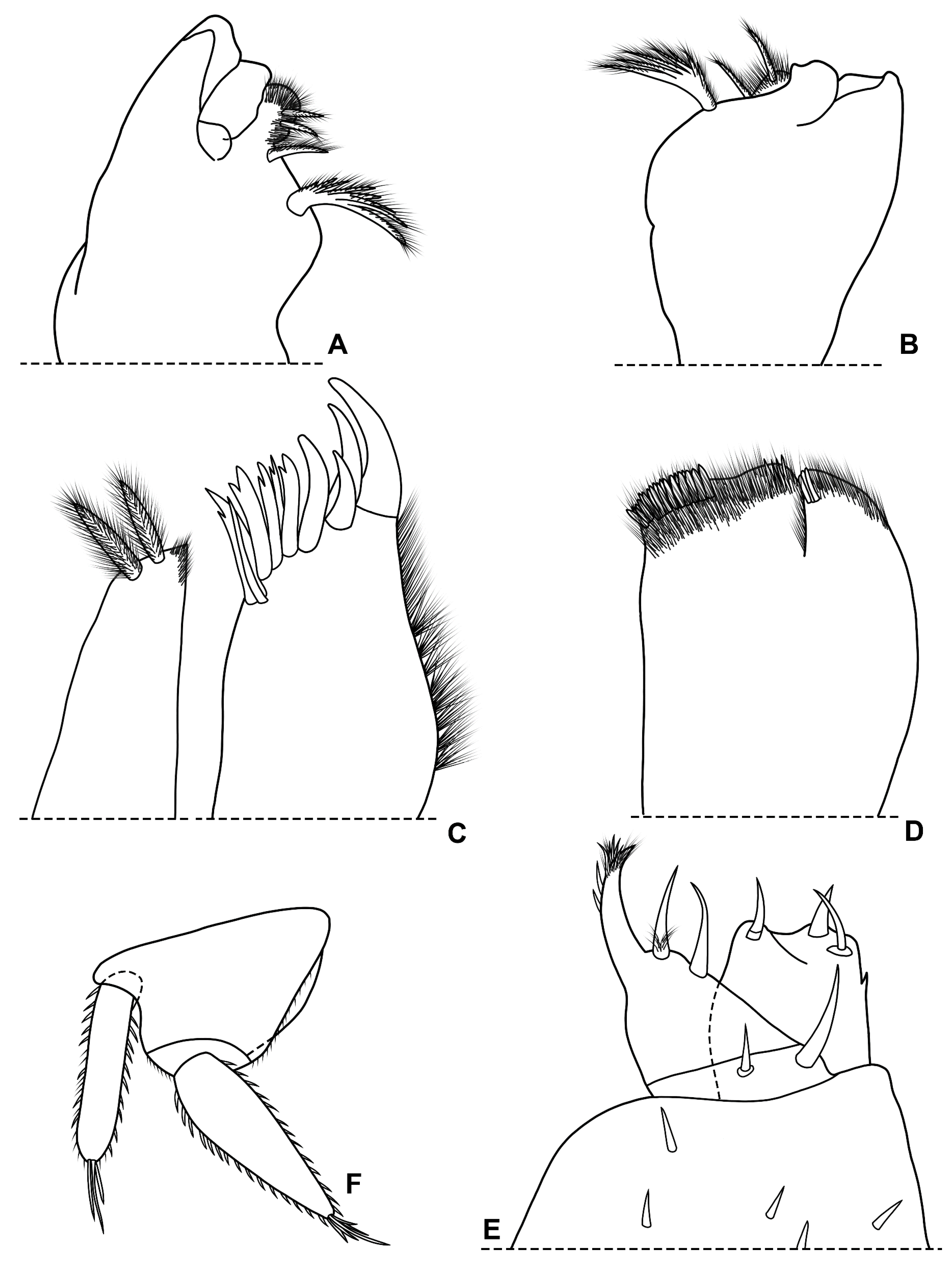 Diversity 15 00068 g005