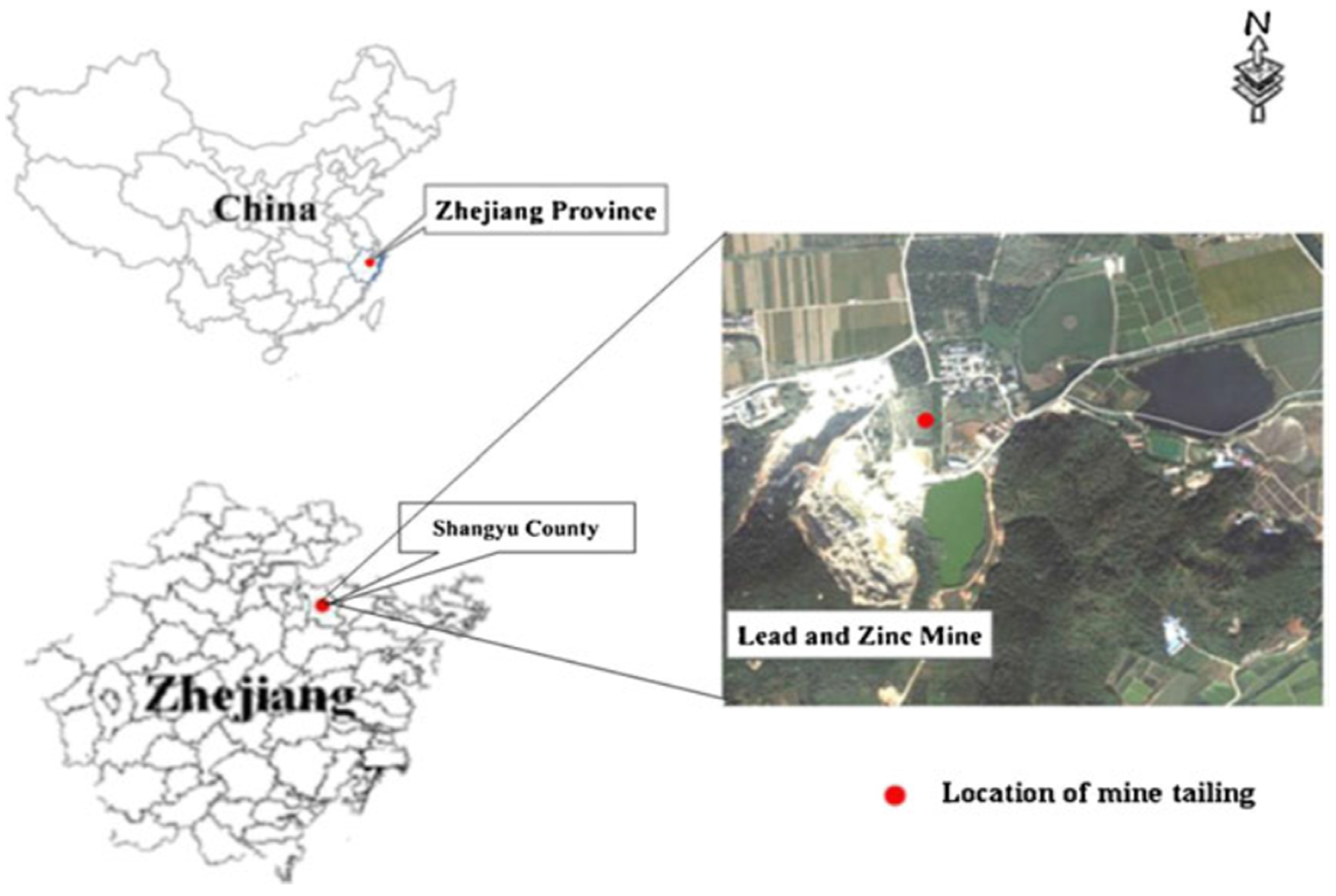 Diversity 15 00069 g001