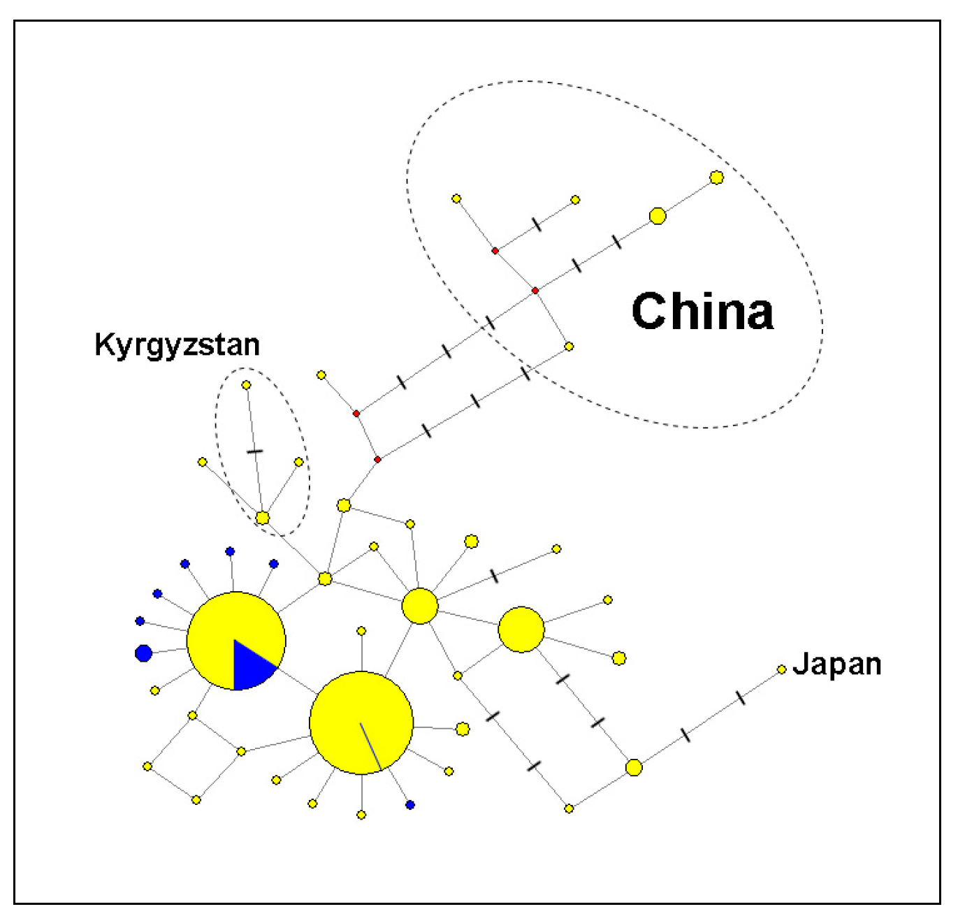 Diversity 15 00072 g002