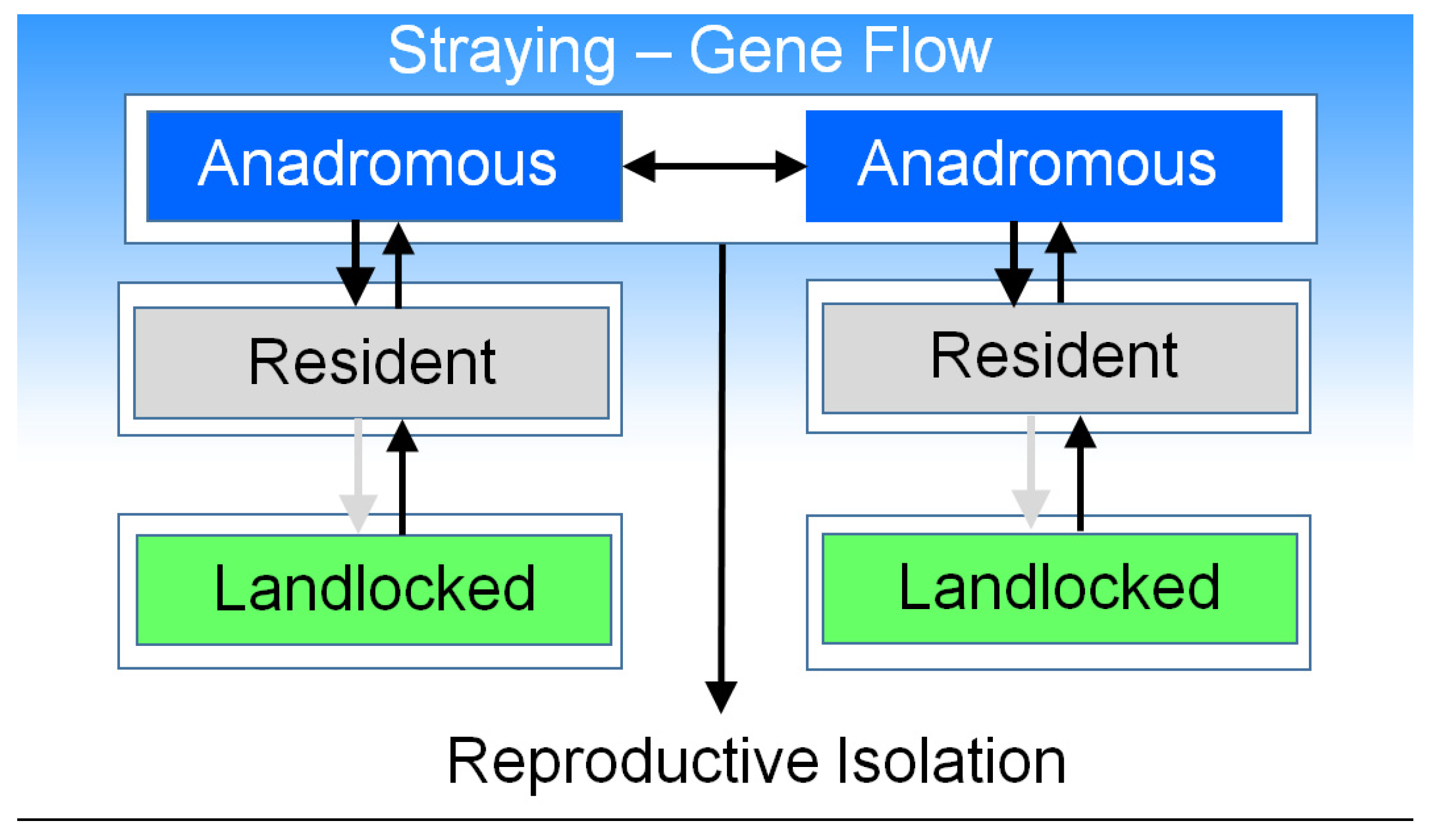 Diversity 15 00074 g004 Diversity 15 00074 g004