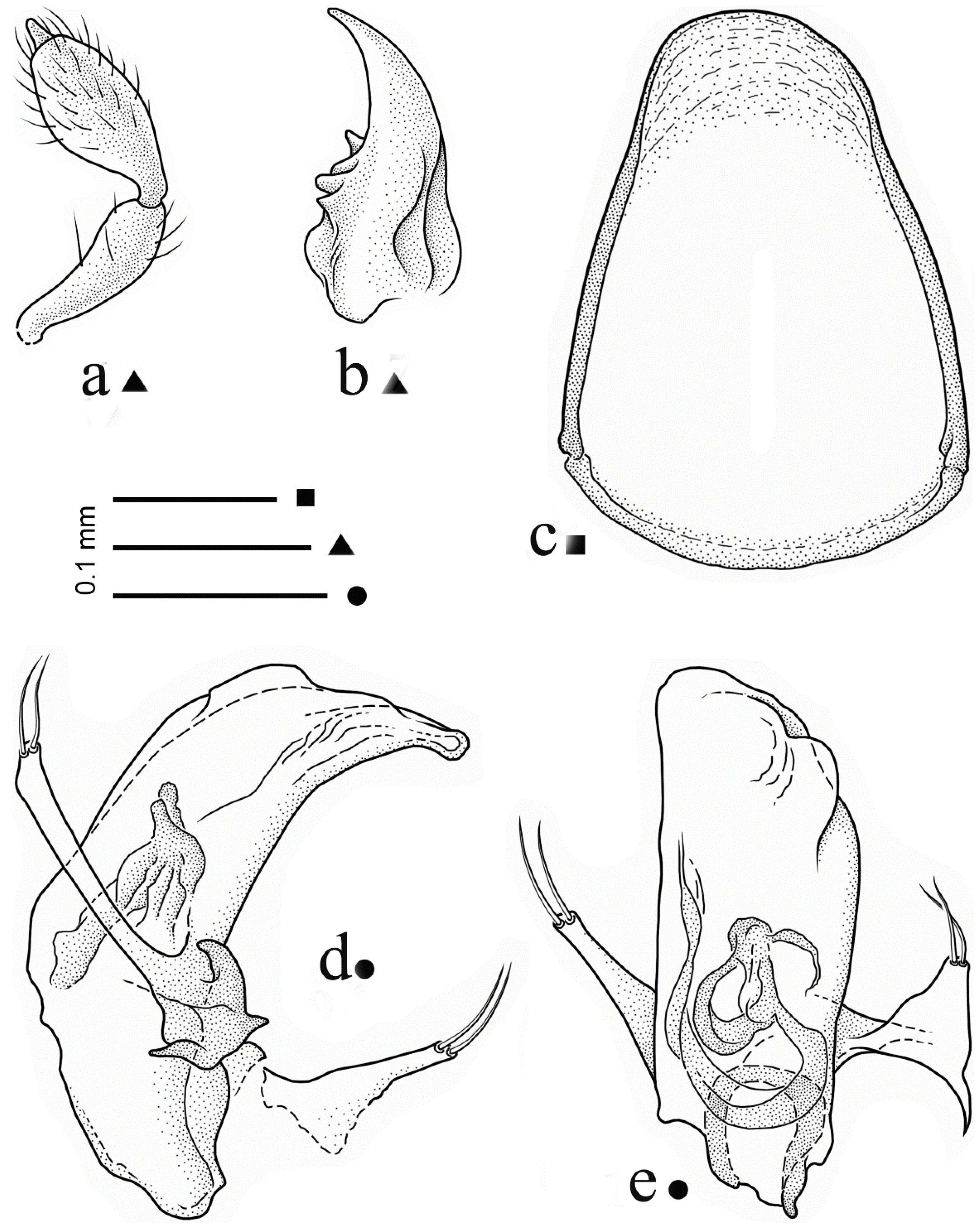 Diversity 15 00075 g002 Diversity 15 00075 g002