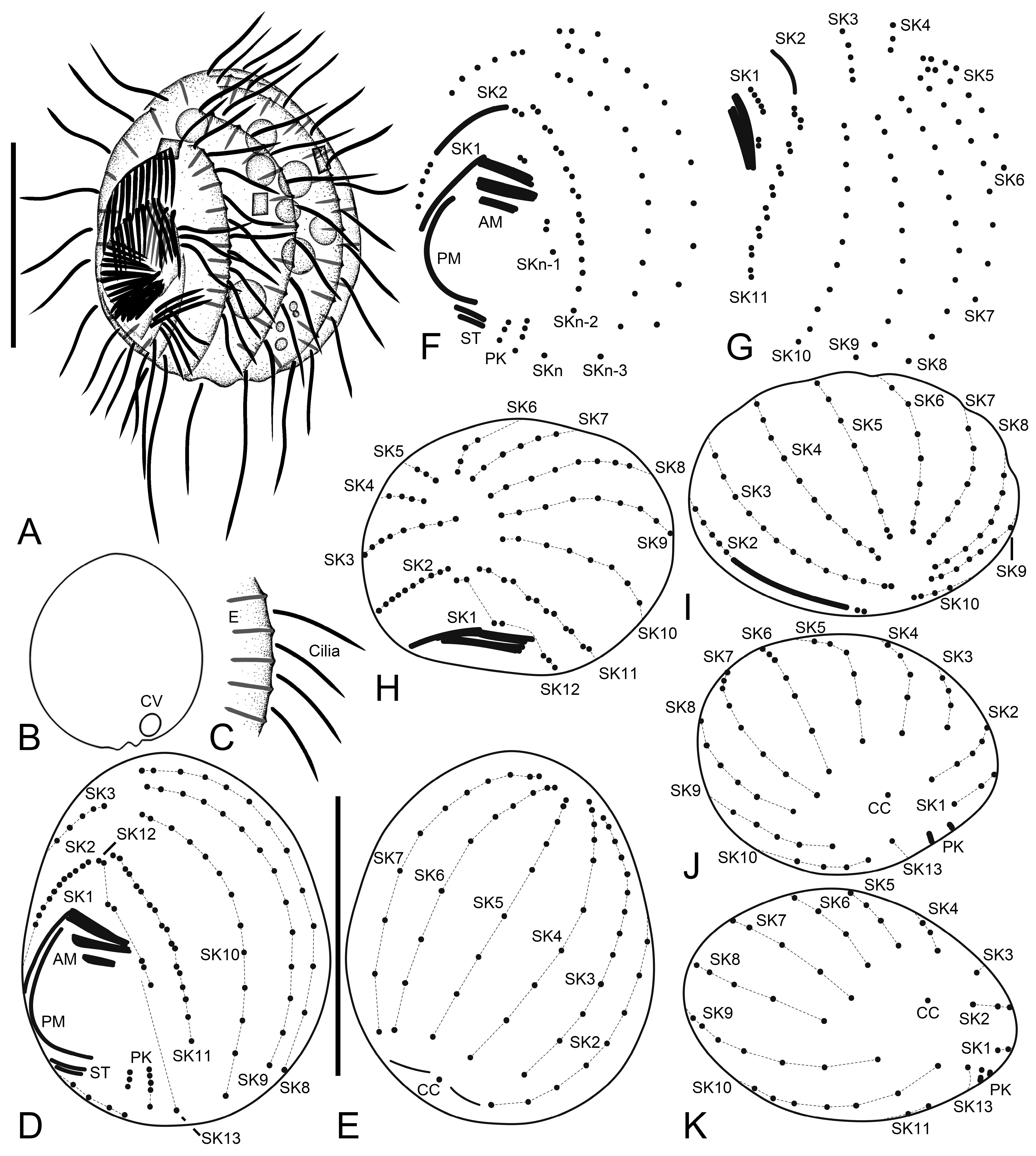 Diversity 15 00076 g001 Diversity 15 00076 g001