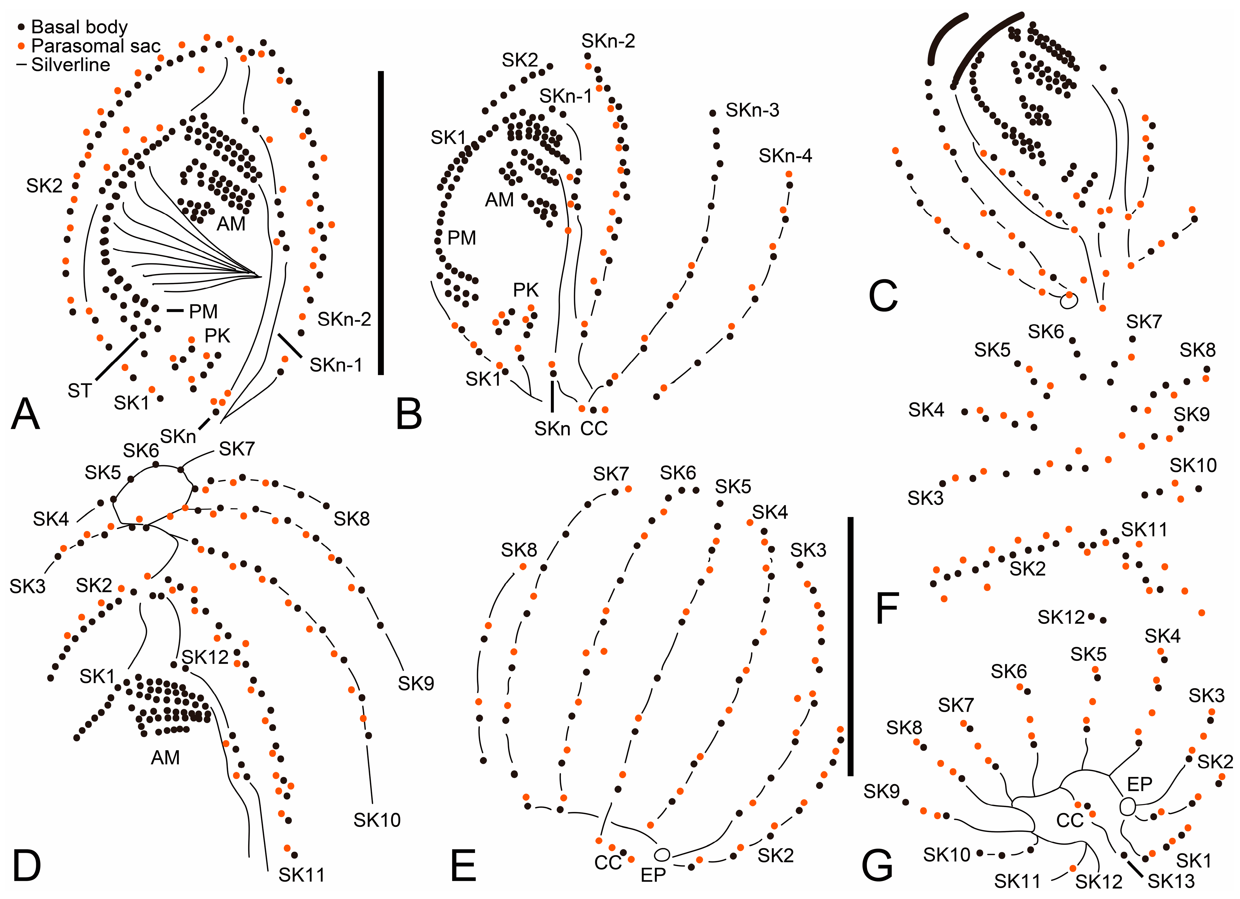 Diversity 15 00076 g002 Diversity 15 00076 g002