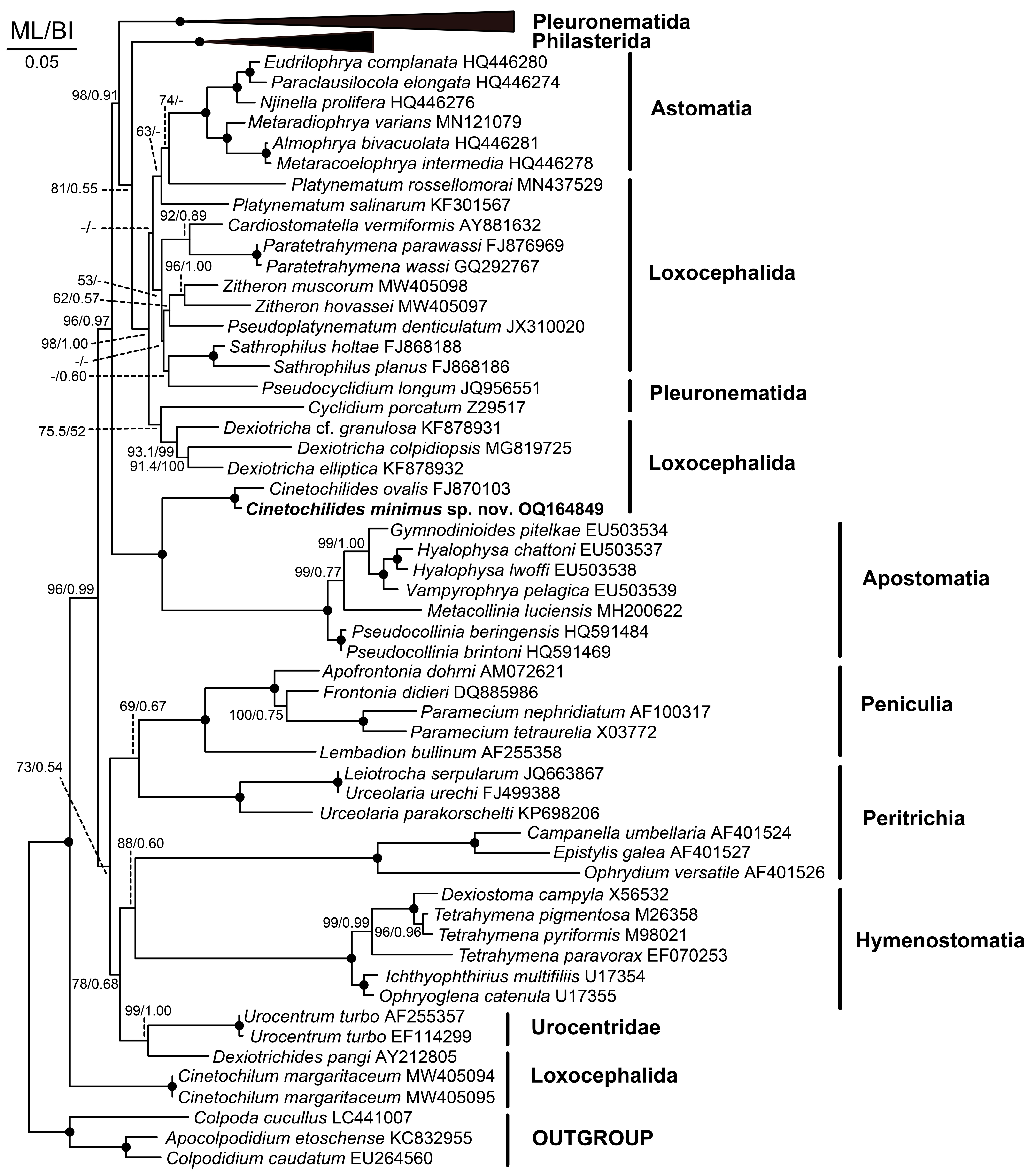 Diversity 15 00076 g009 Diversity 15 00076 g009