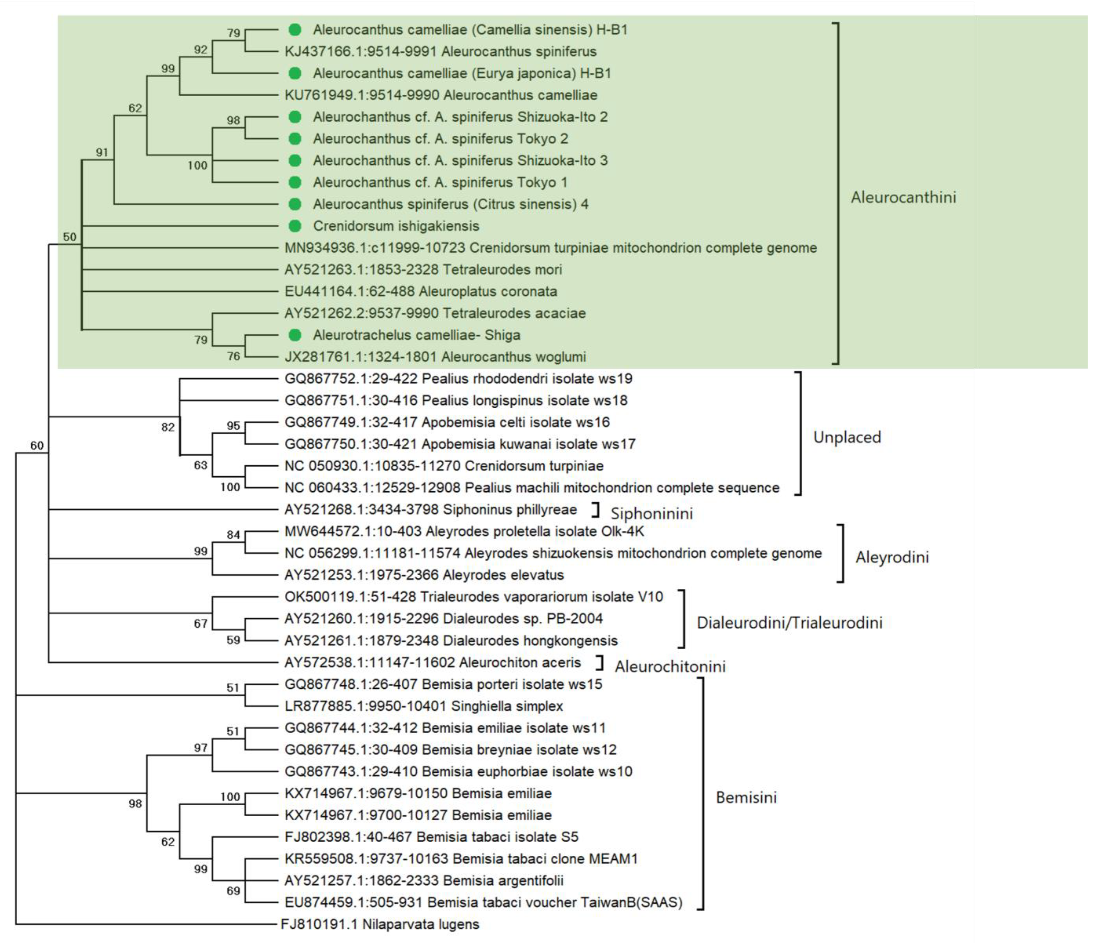 Diversity 15 00080 g006