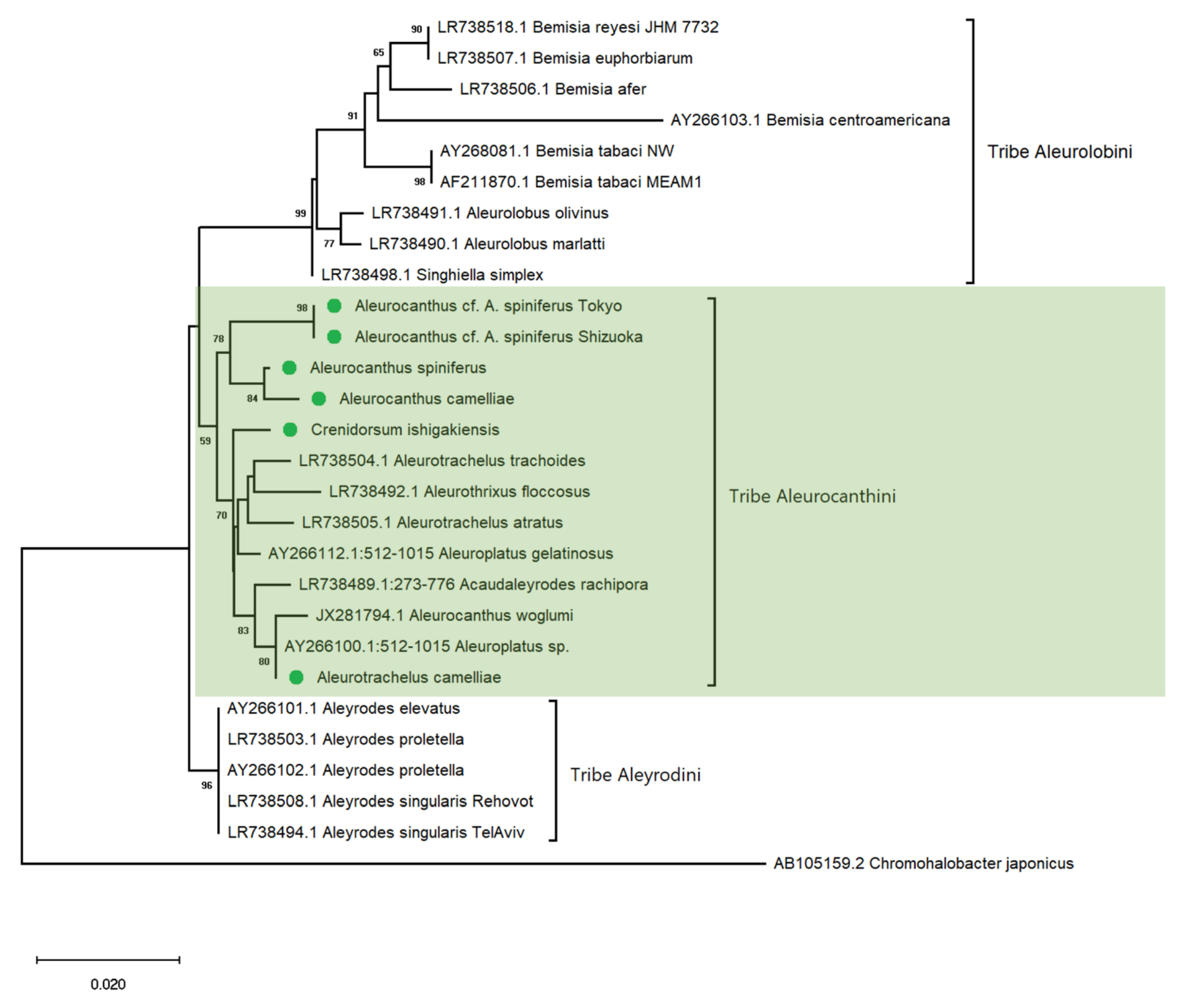 Diversity 15 00080 g007