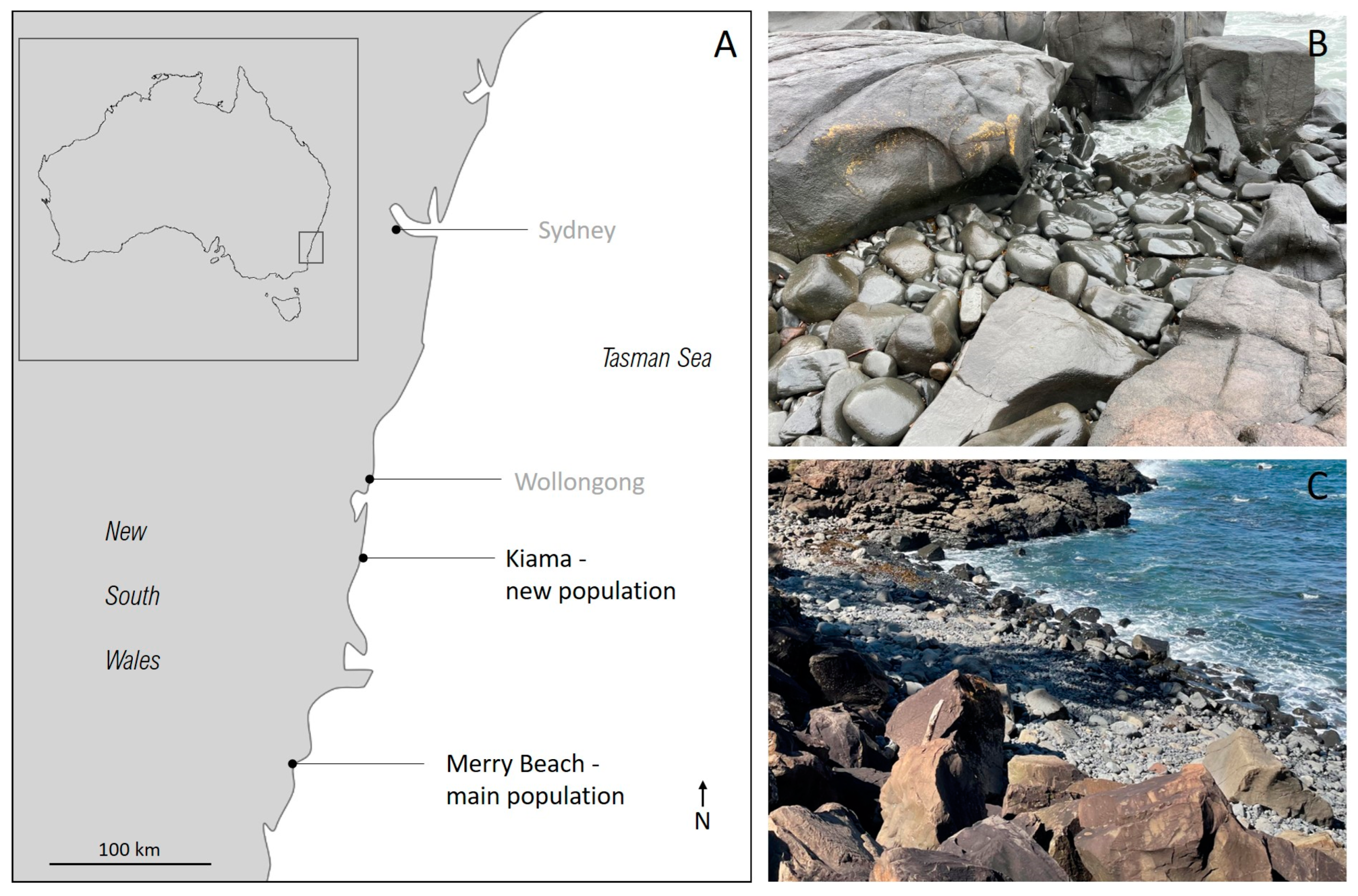 Diversity 15 00086 g001
