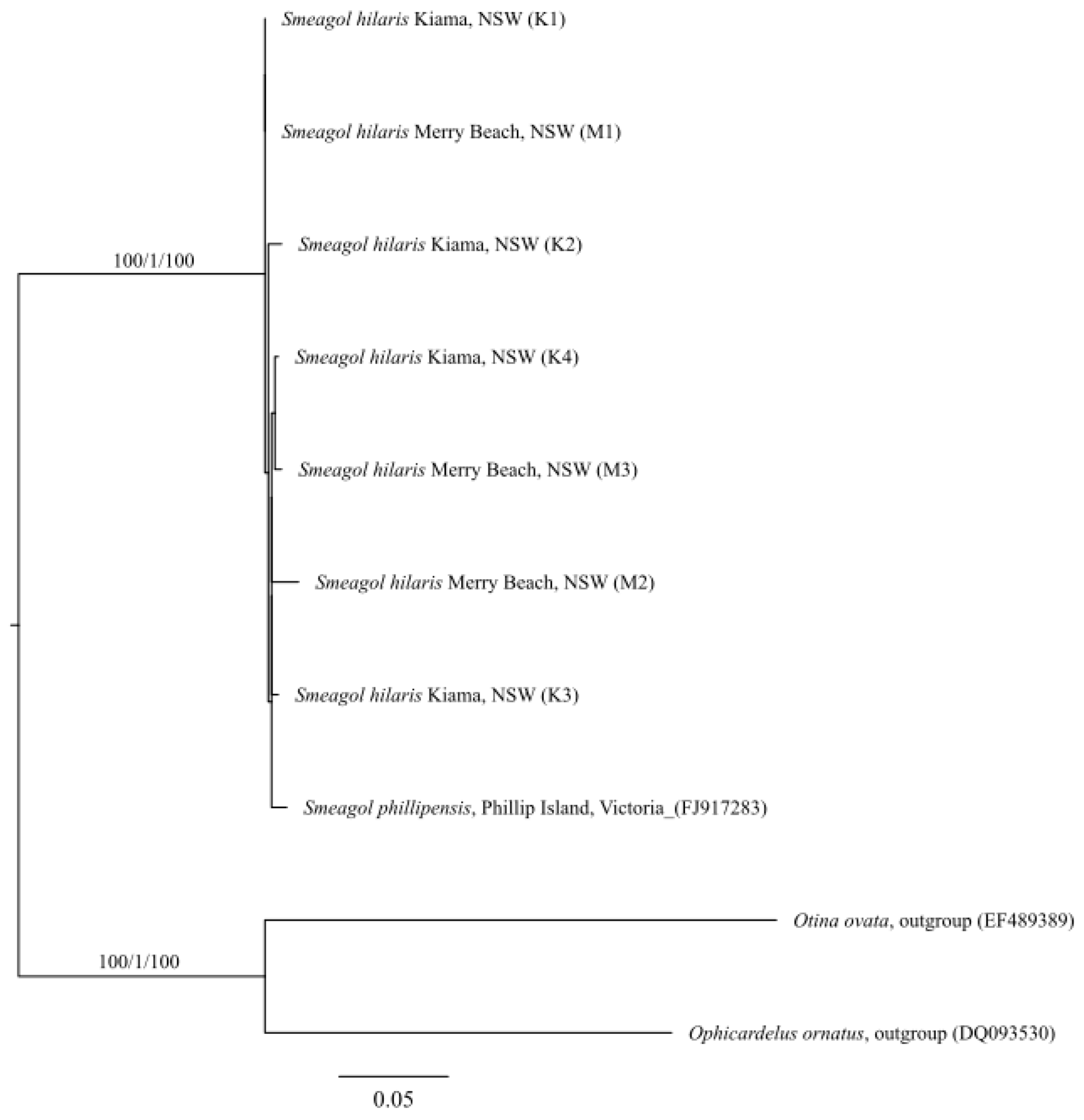 Diversity 15 00086 g004
