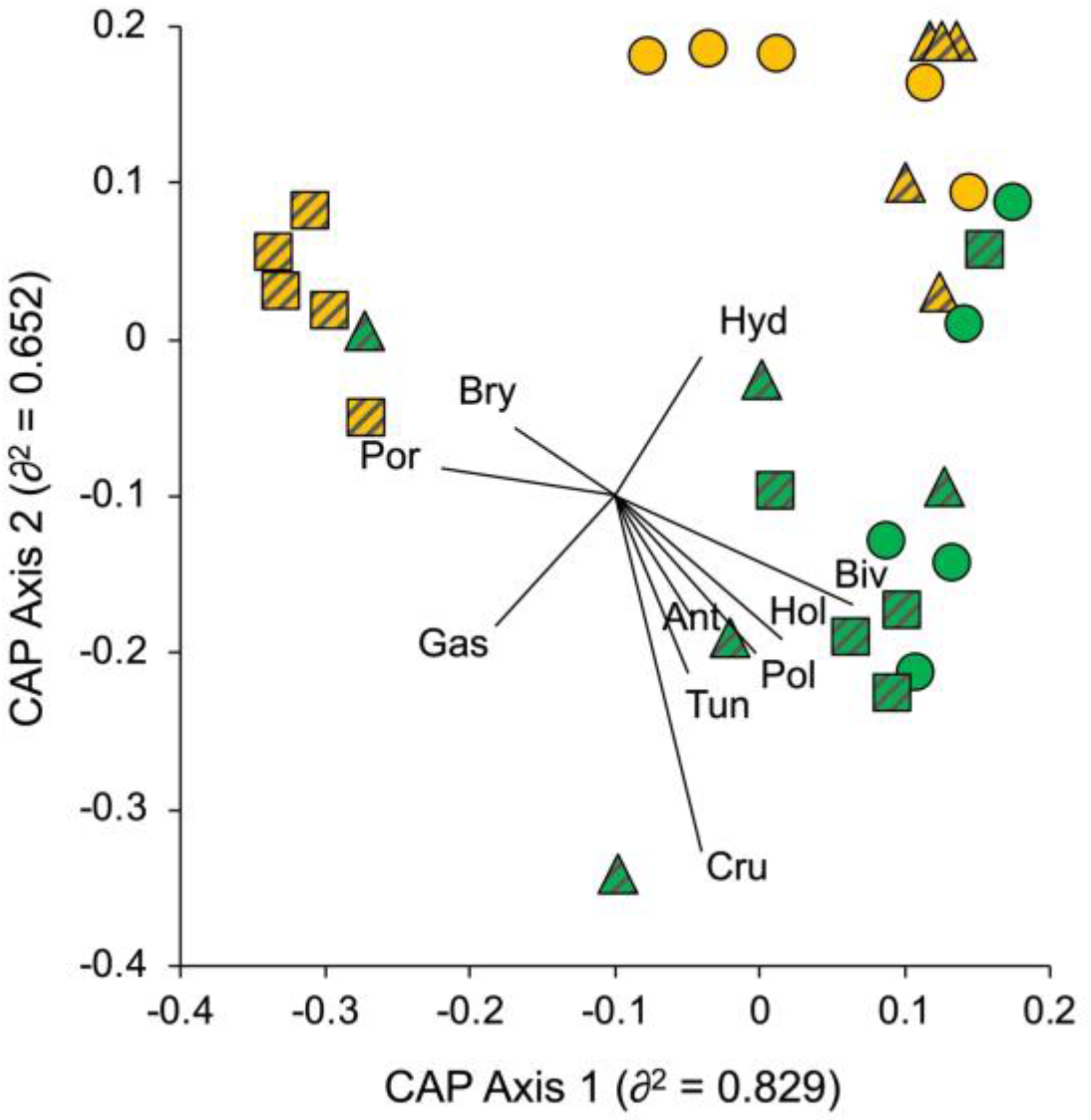 Diversity 15 00089 g005 Diversity 15 00089 g005