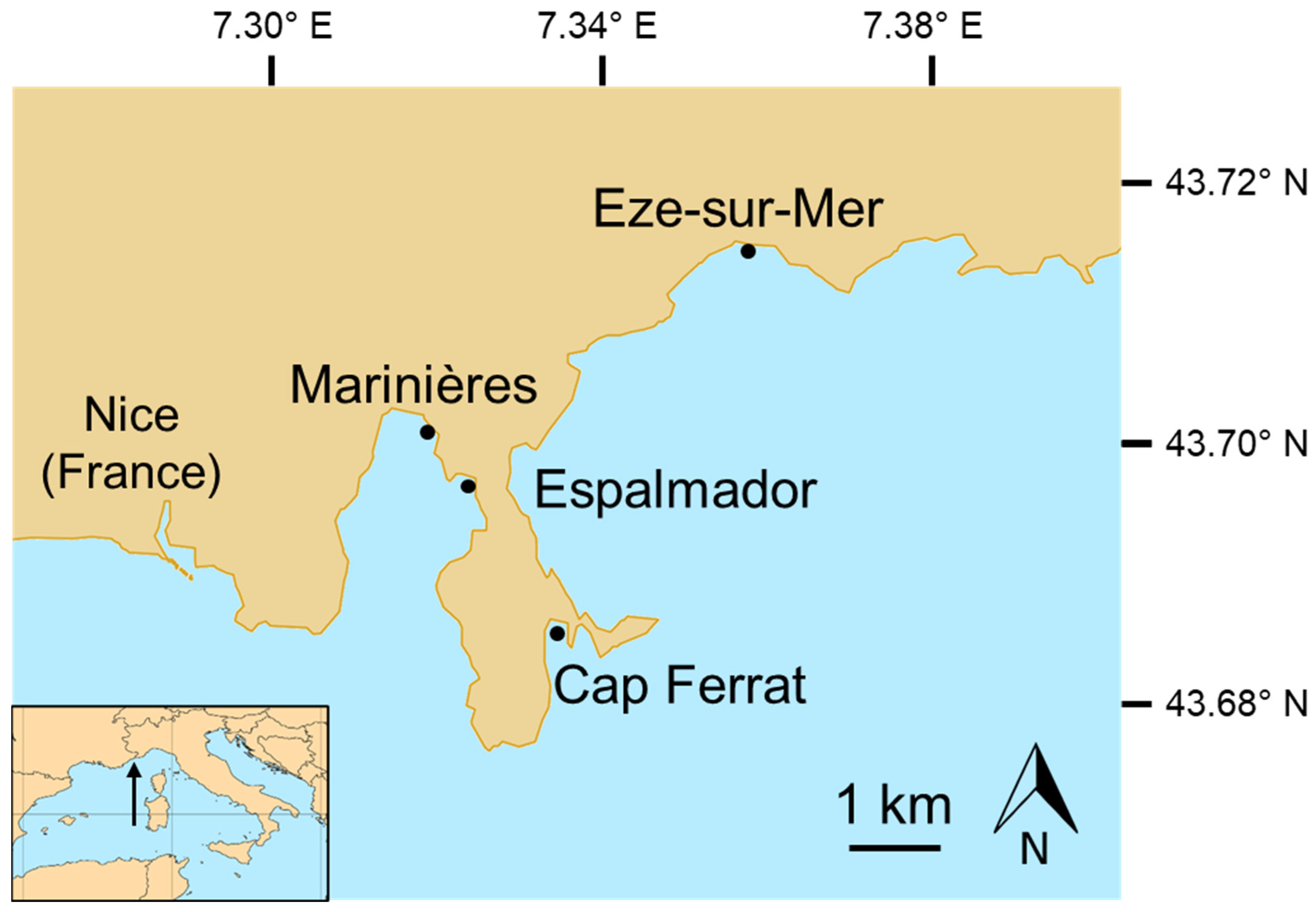 Diversity 15 00092 g001 Diversity 15 00092 g001