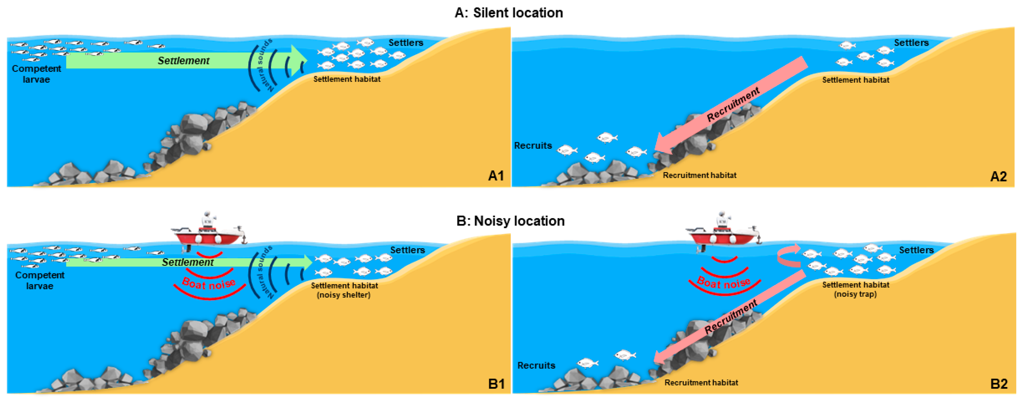 Diversity 15 00092 g007 Diversity 15 00092 g007