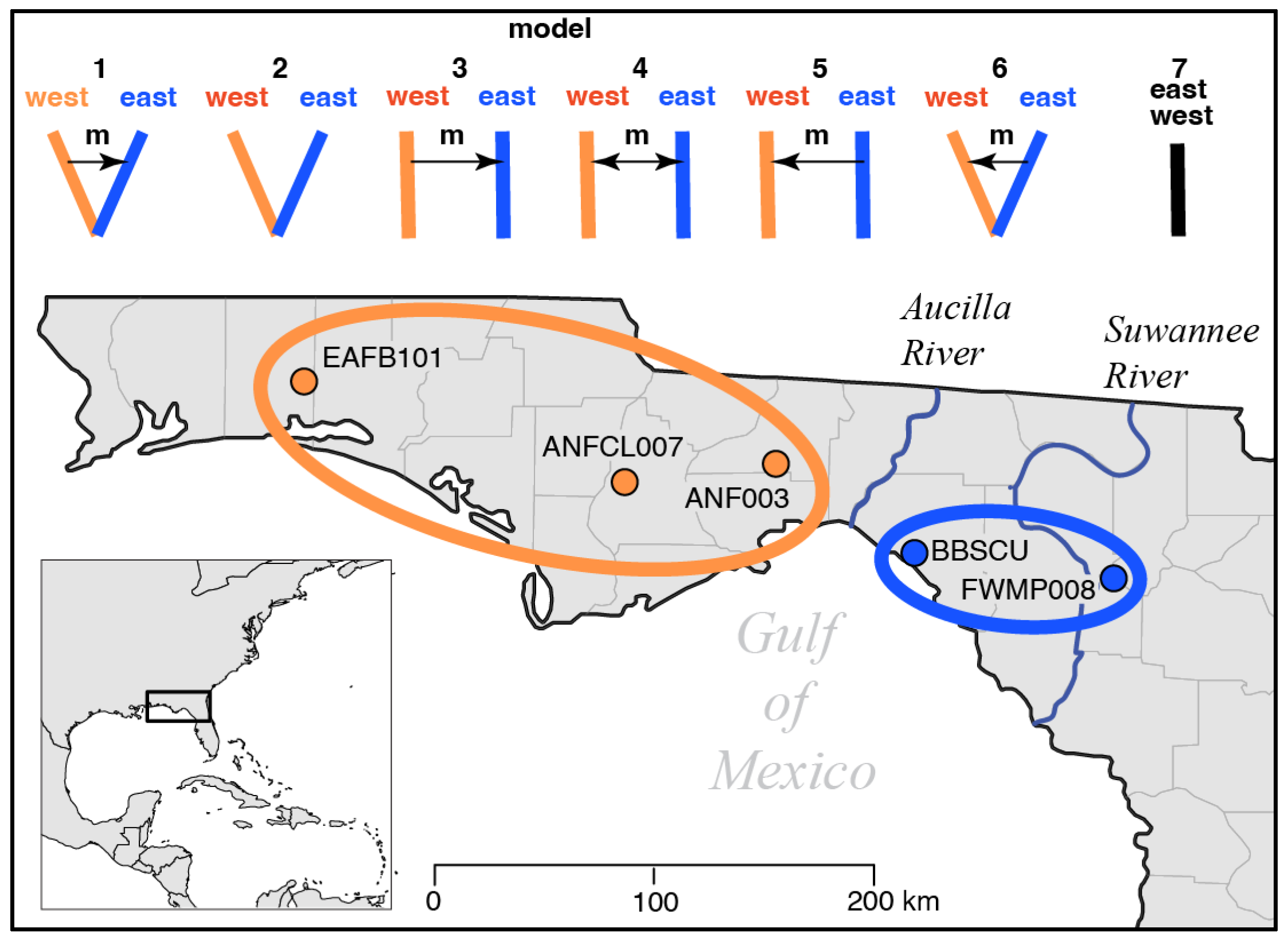 Diversity 15 00093 g002