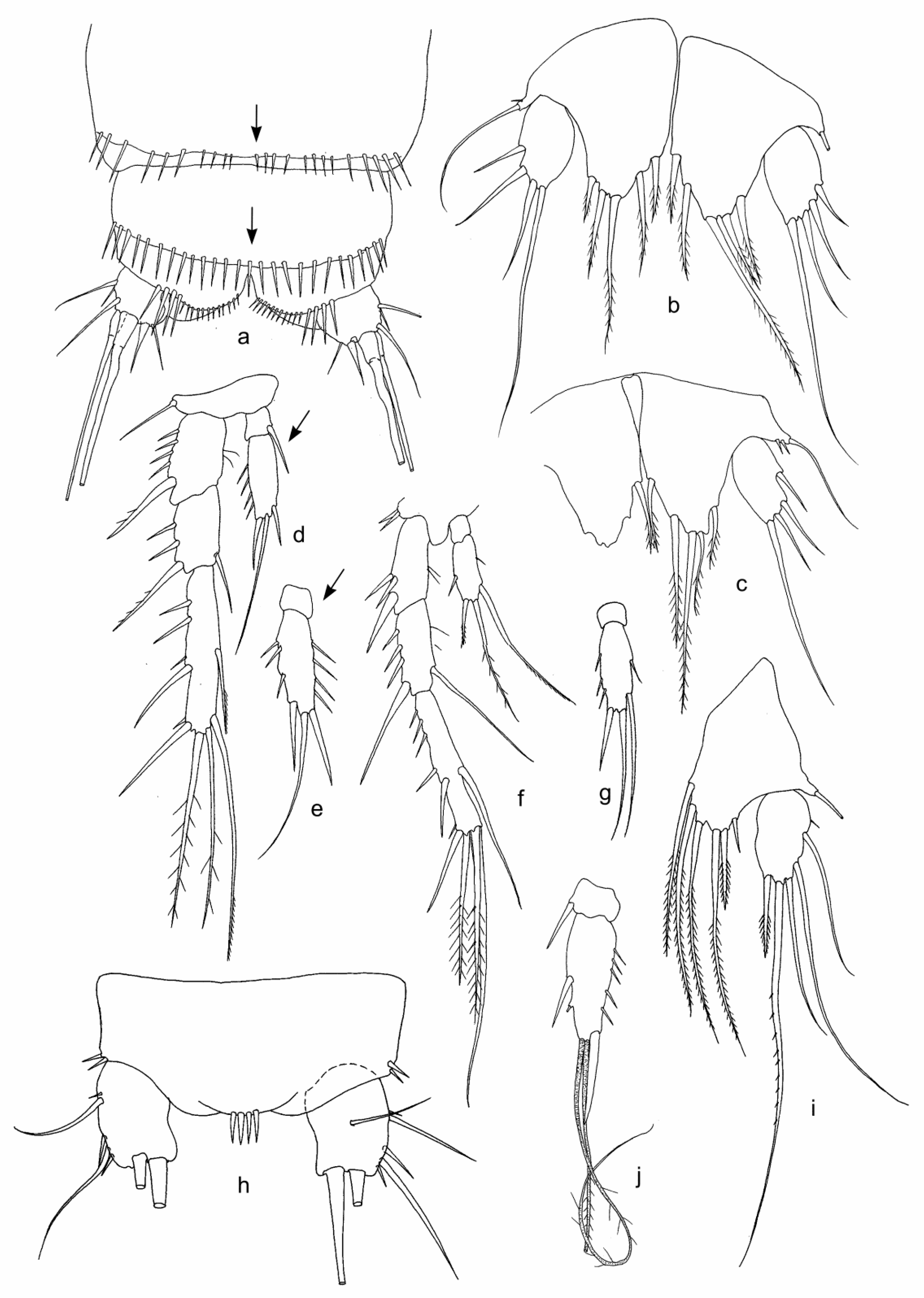 Diversity 15 00094 g003 Diversity 15 00094 g003