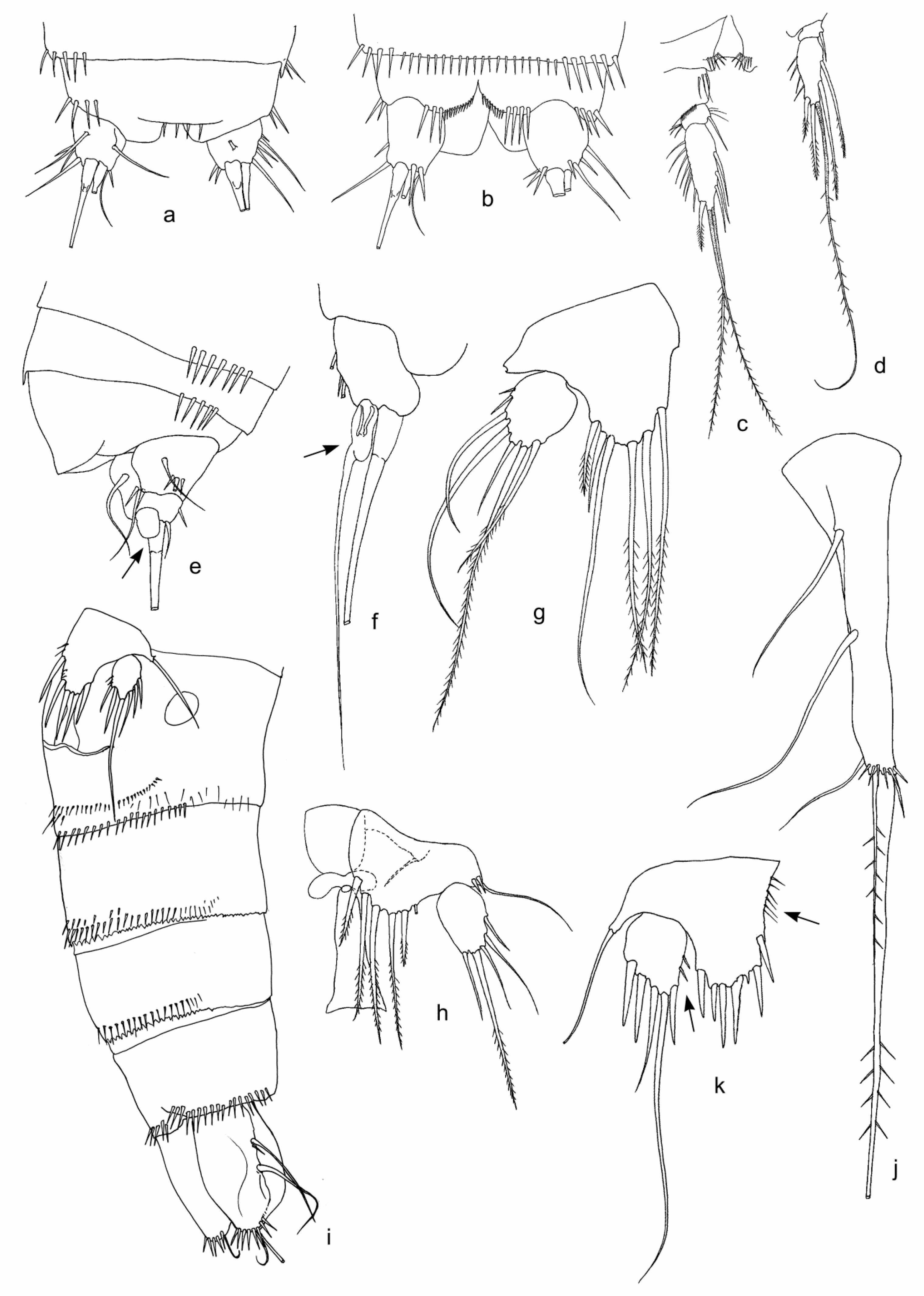 Diversity 15 00094 g004 Diversity 15 00094 g004