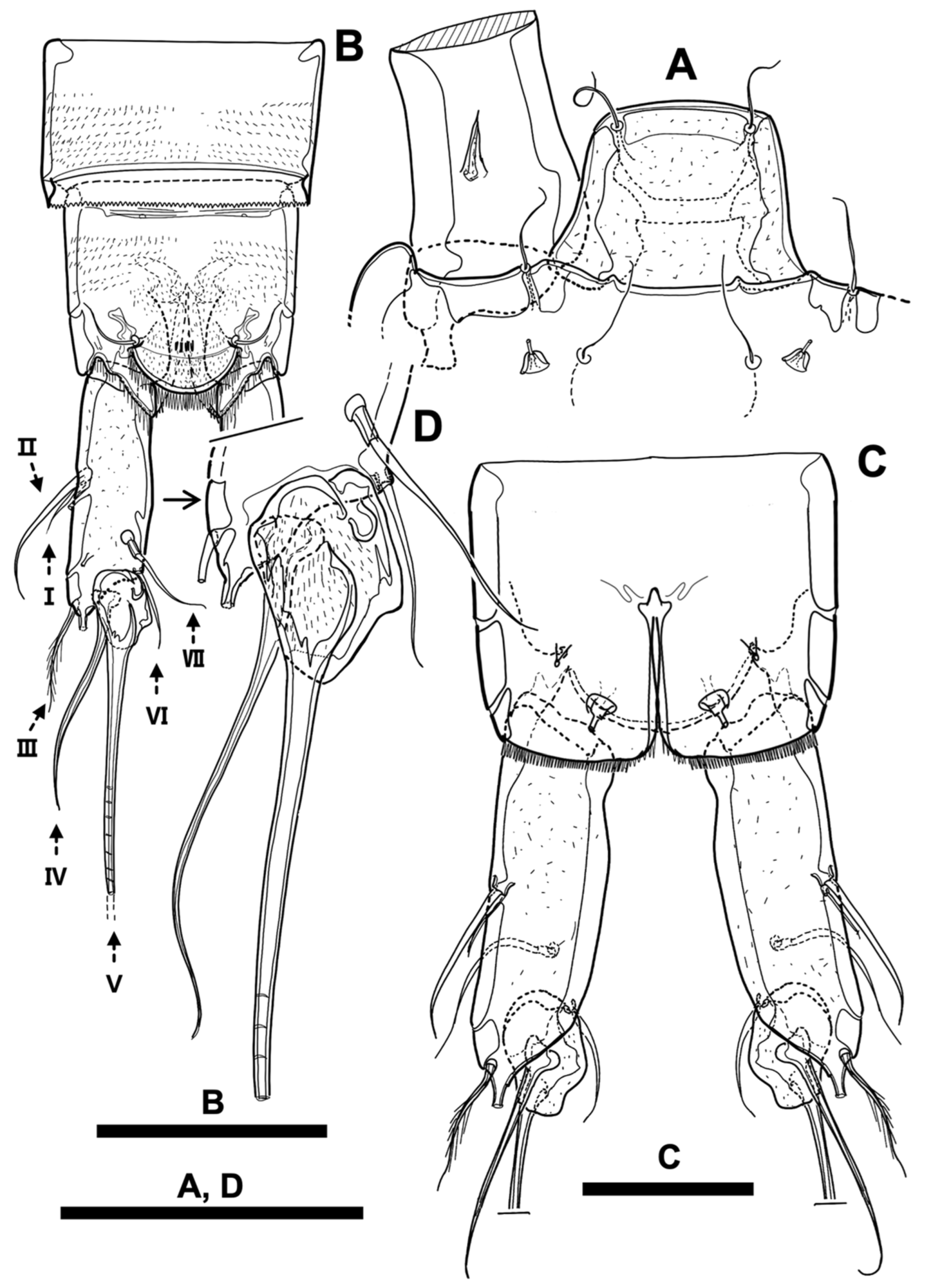 Diversity 15 00097 g008