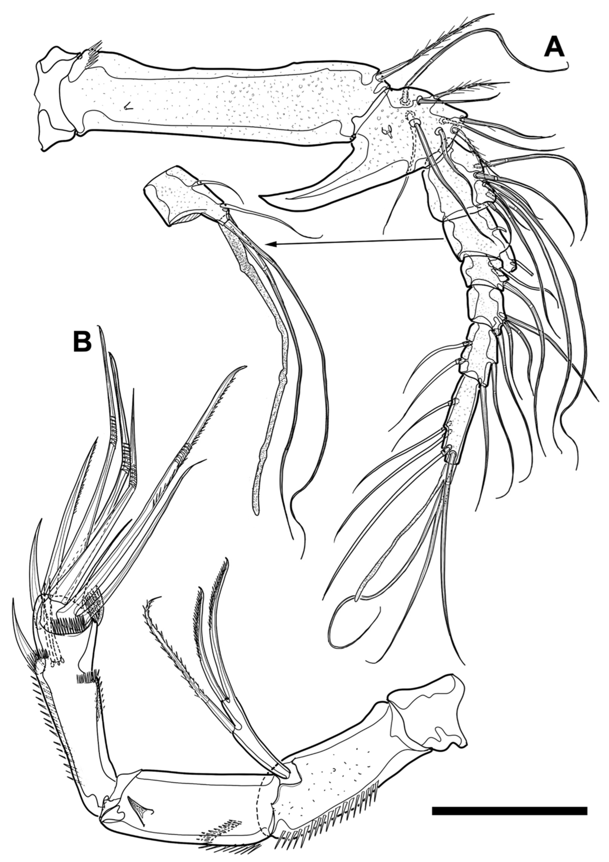 Diversity 15 00097 g010