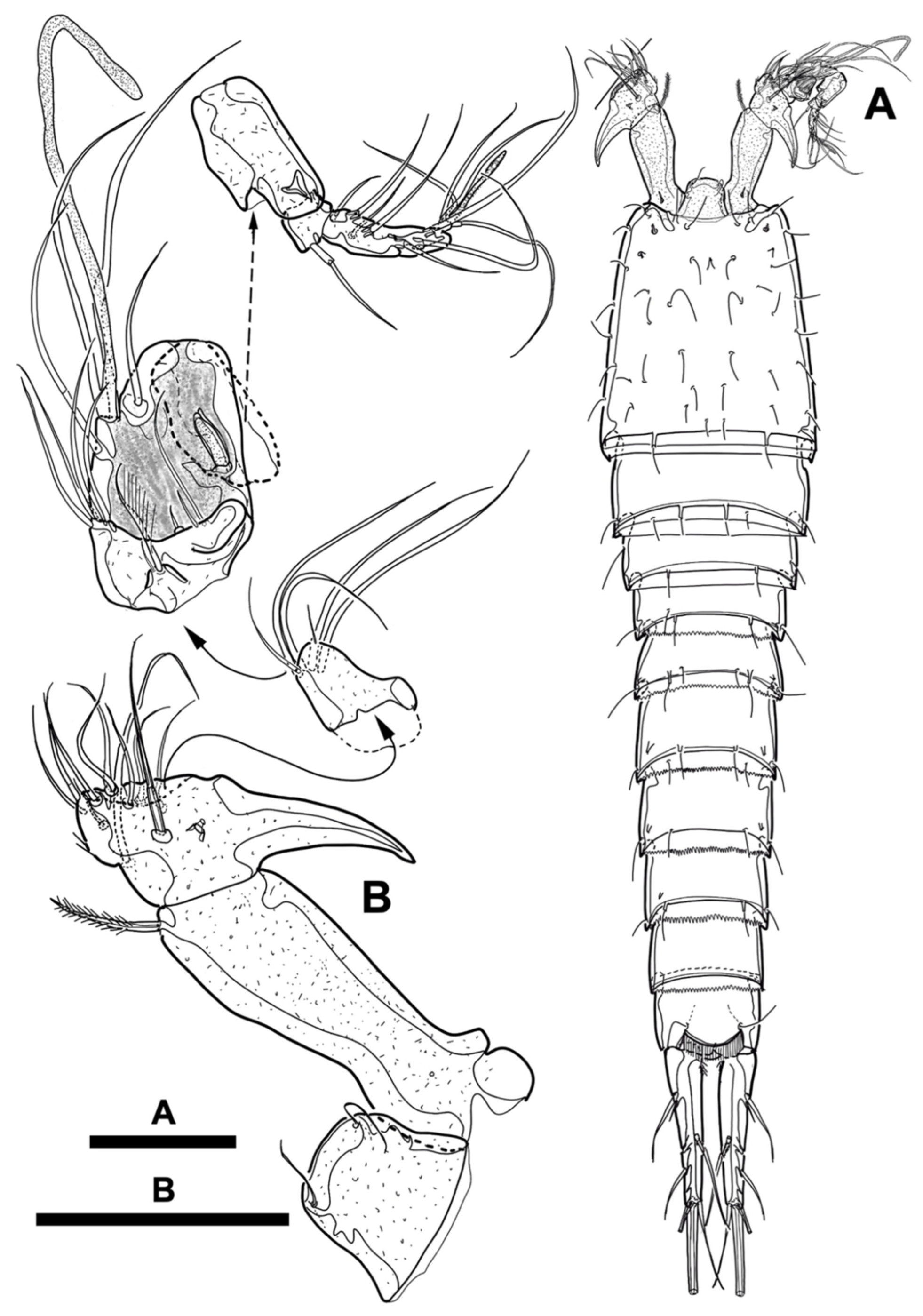 Diversity 15 00097 g017