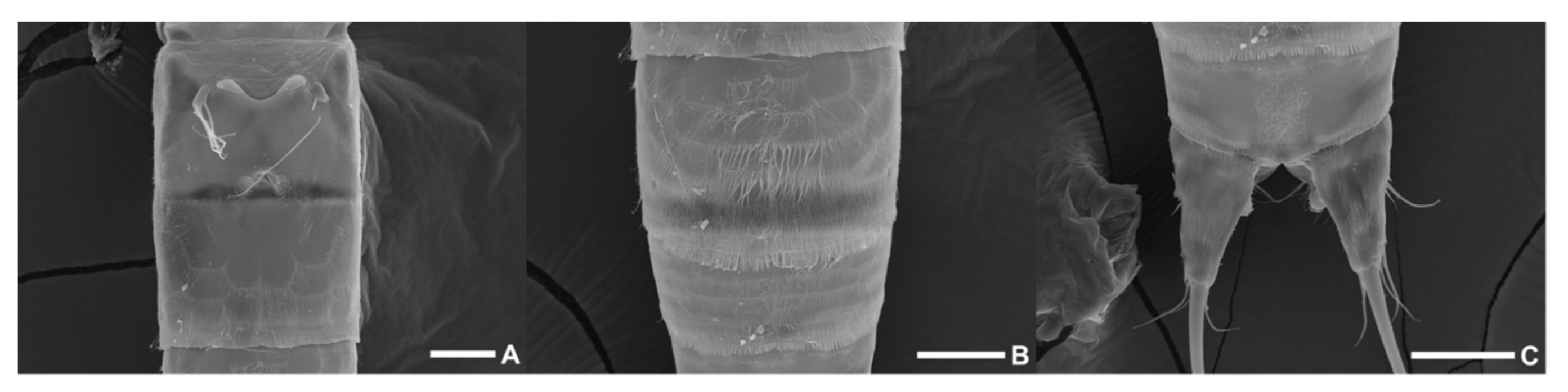 Diversity 15 00097 g023