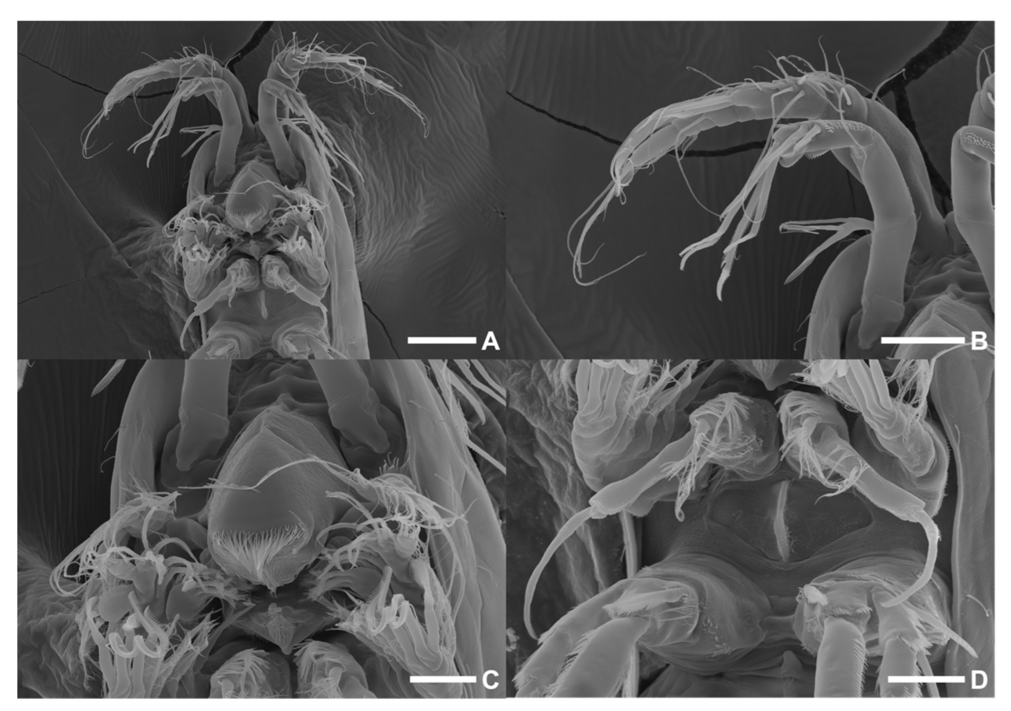 Diversity 15 00097 g024