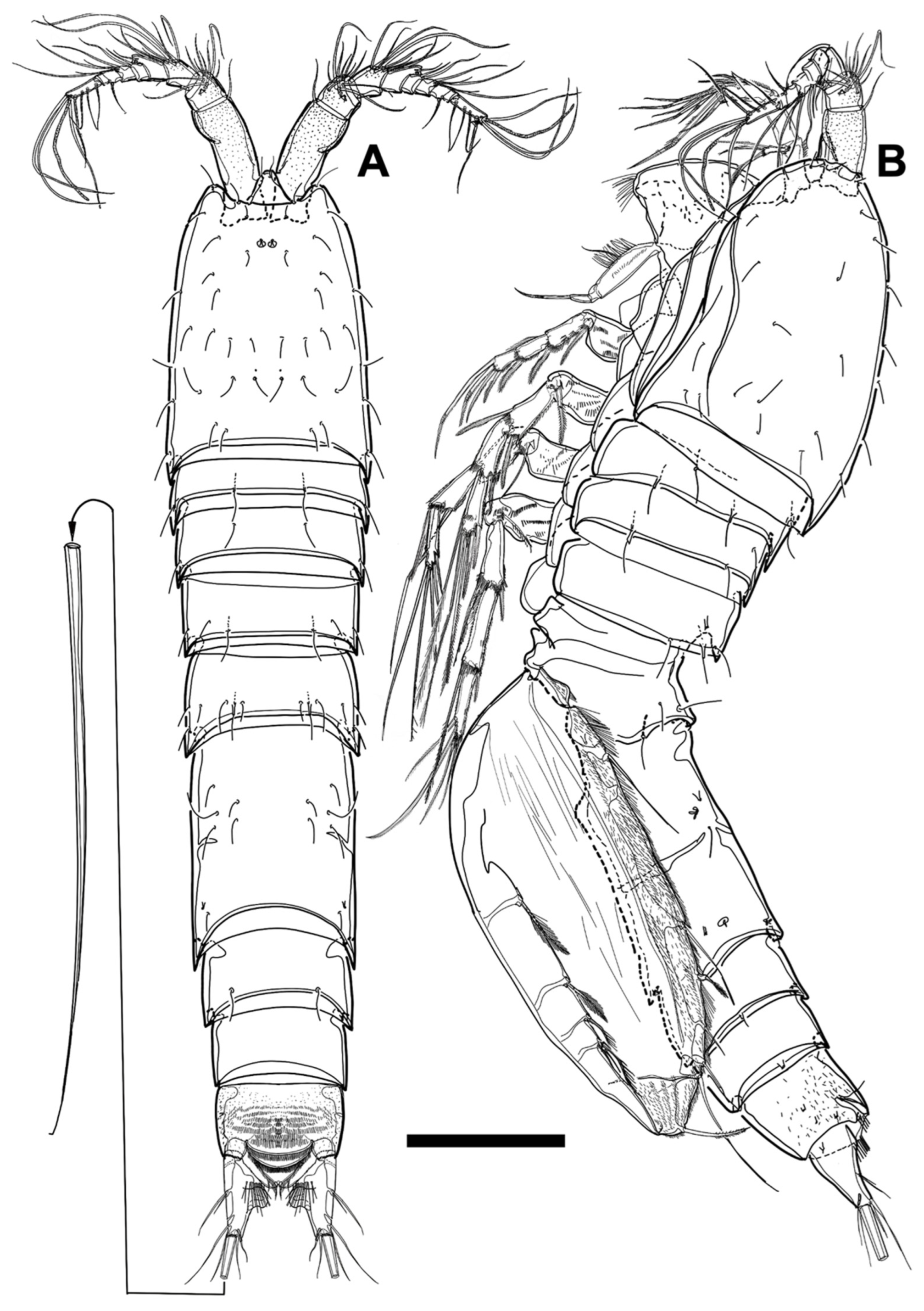 Diversity 15 00097 g025