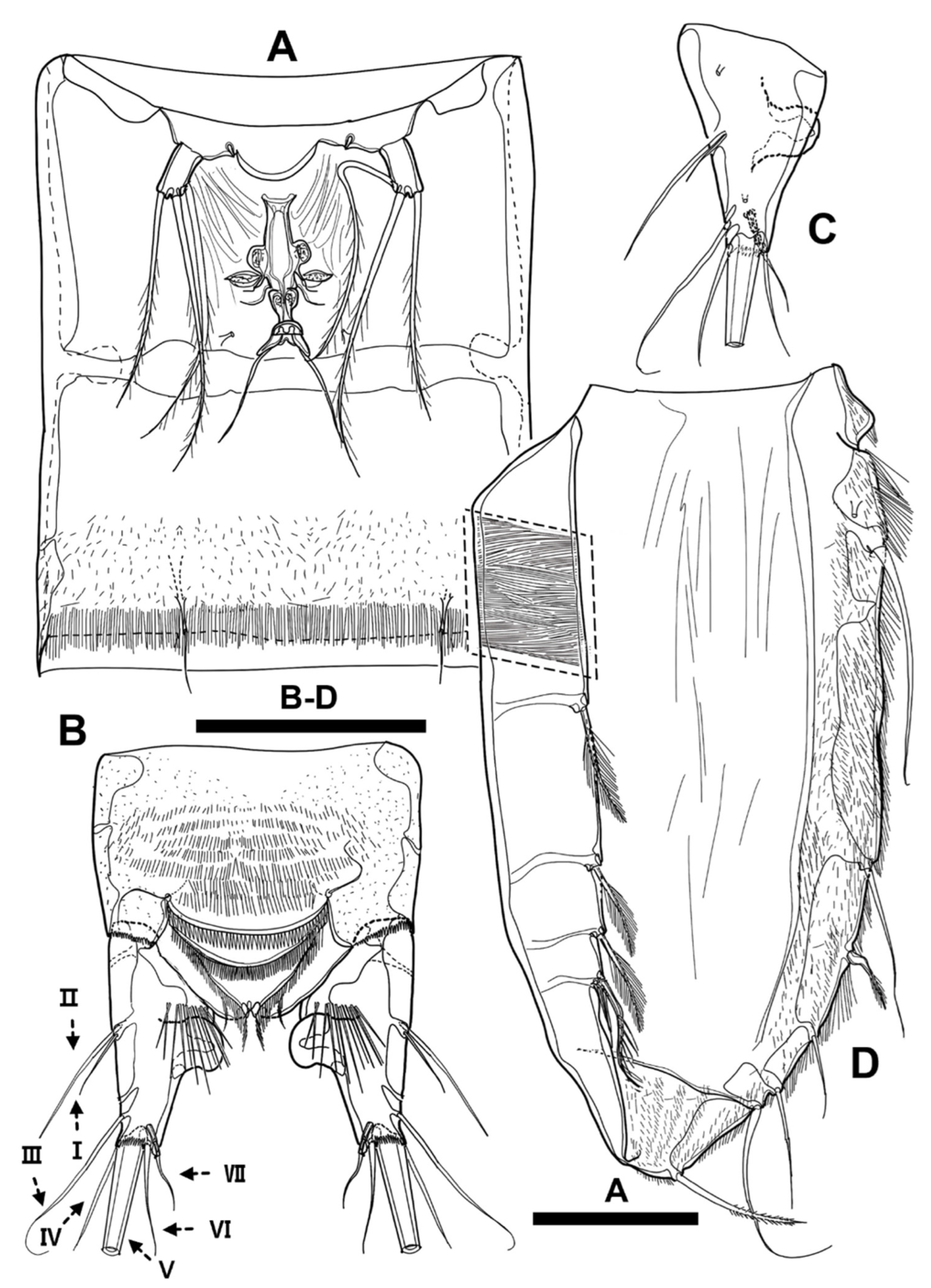 Diversity 15 00097 g026
