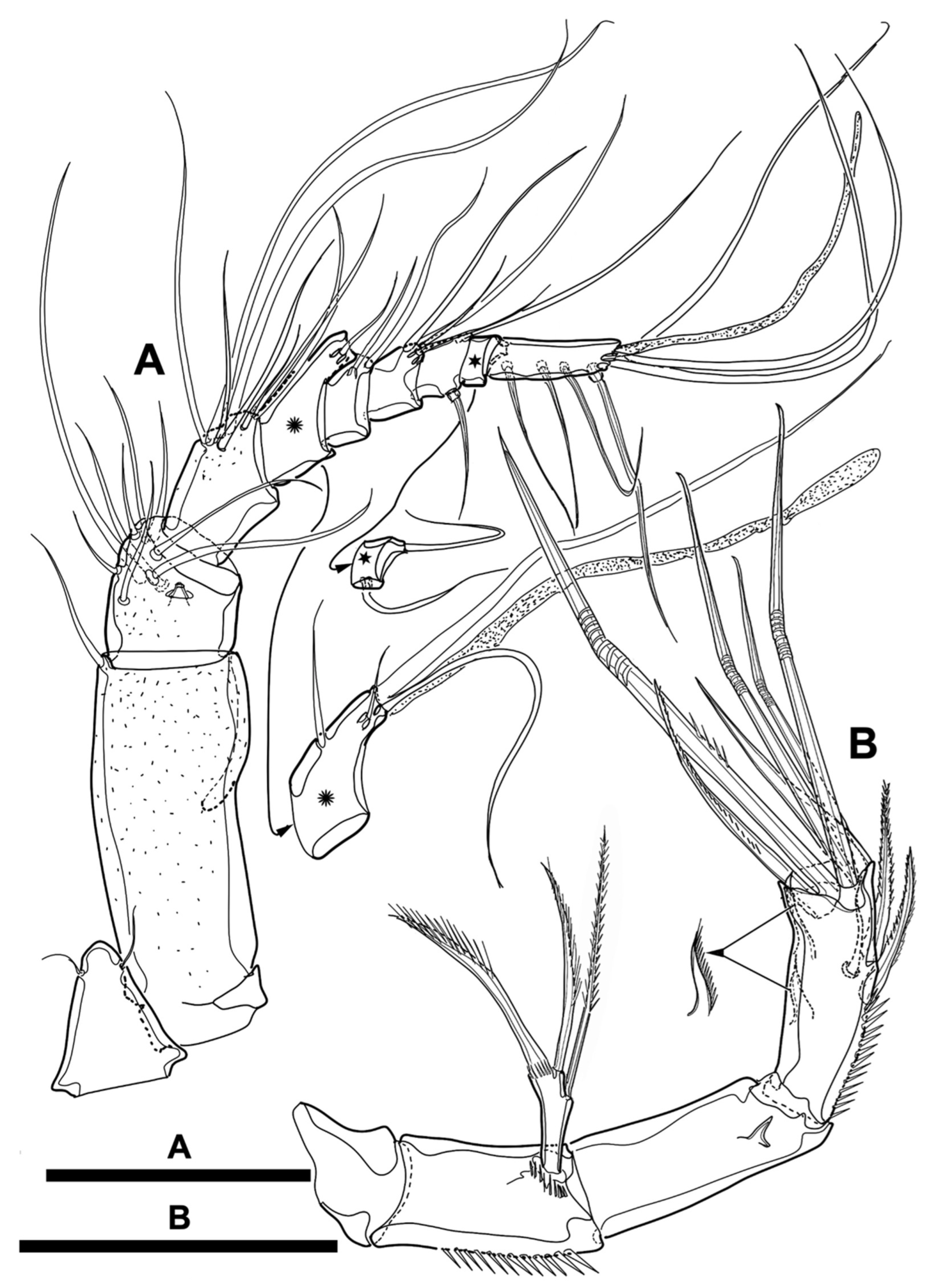 Diversity 15 00097 g027