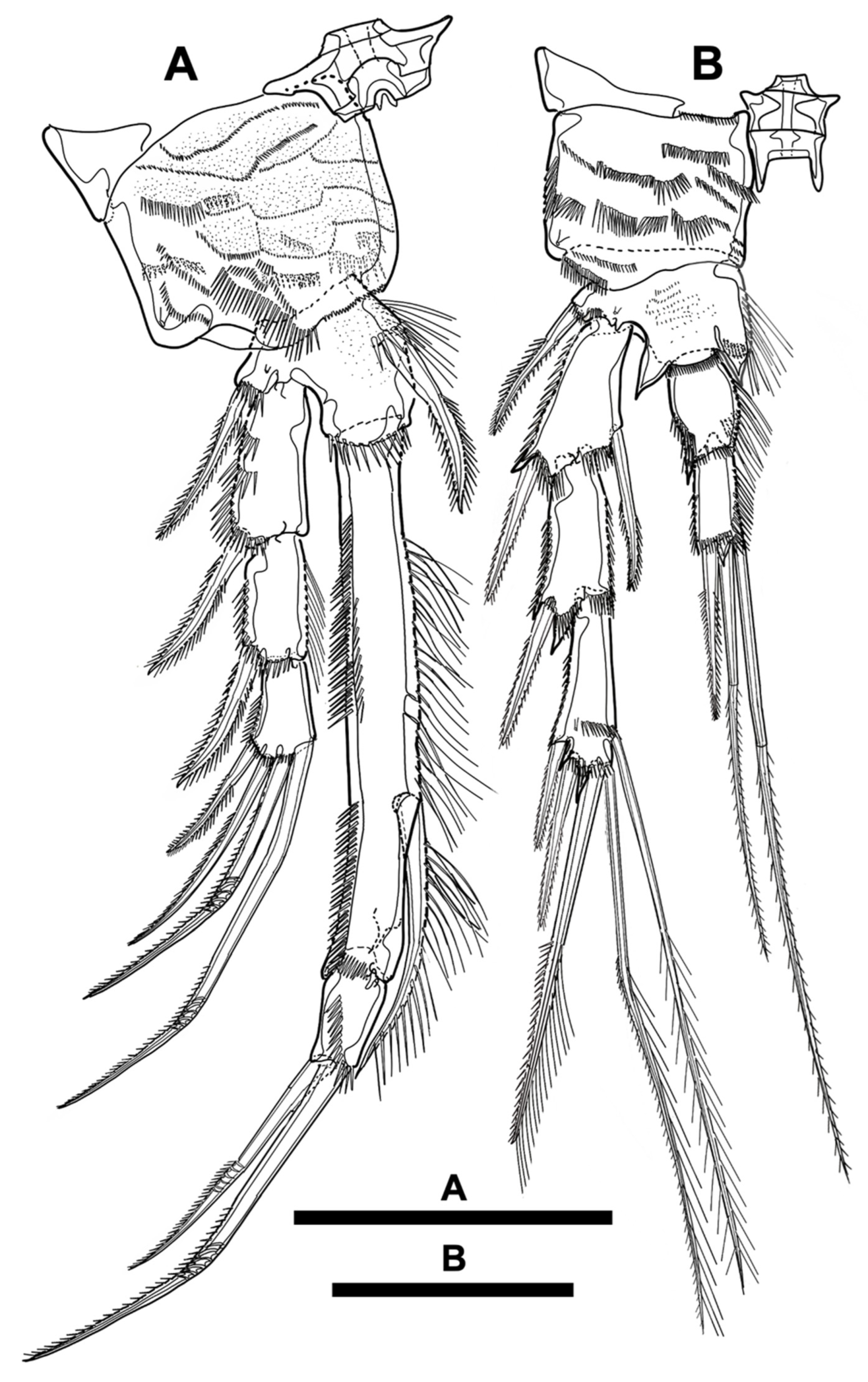 Diversity 15 00097 g029