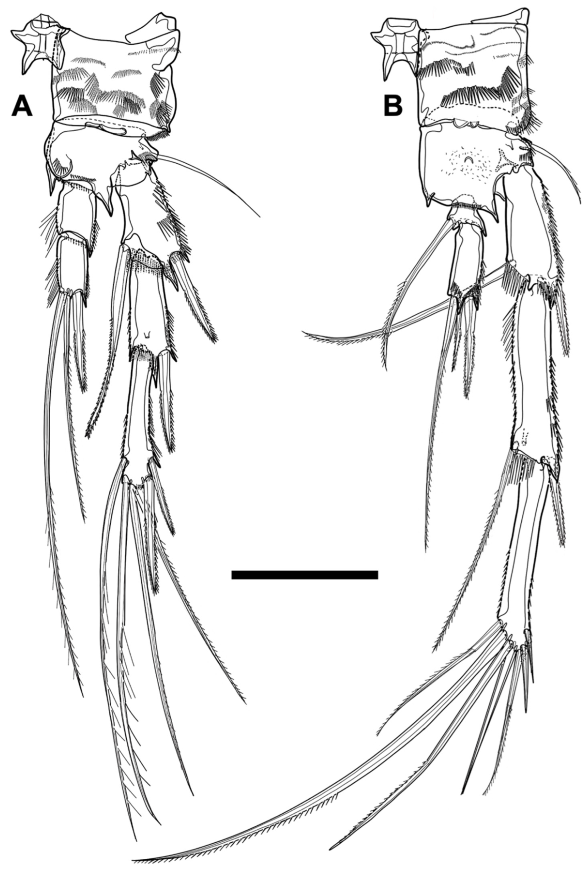 Diversity 15 00097 g030