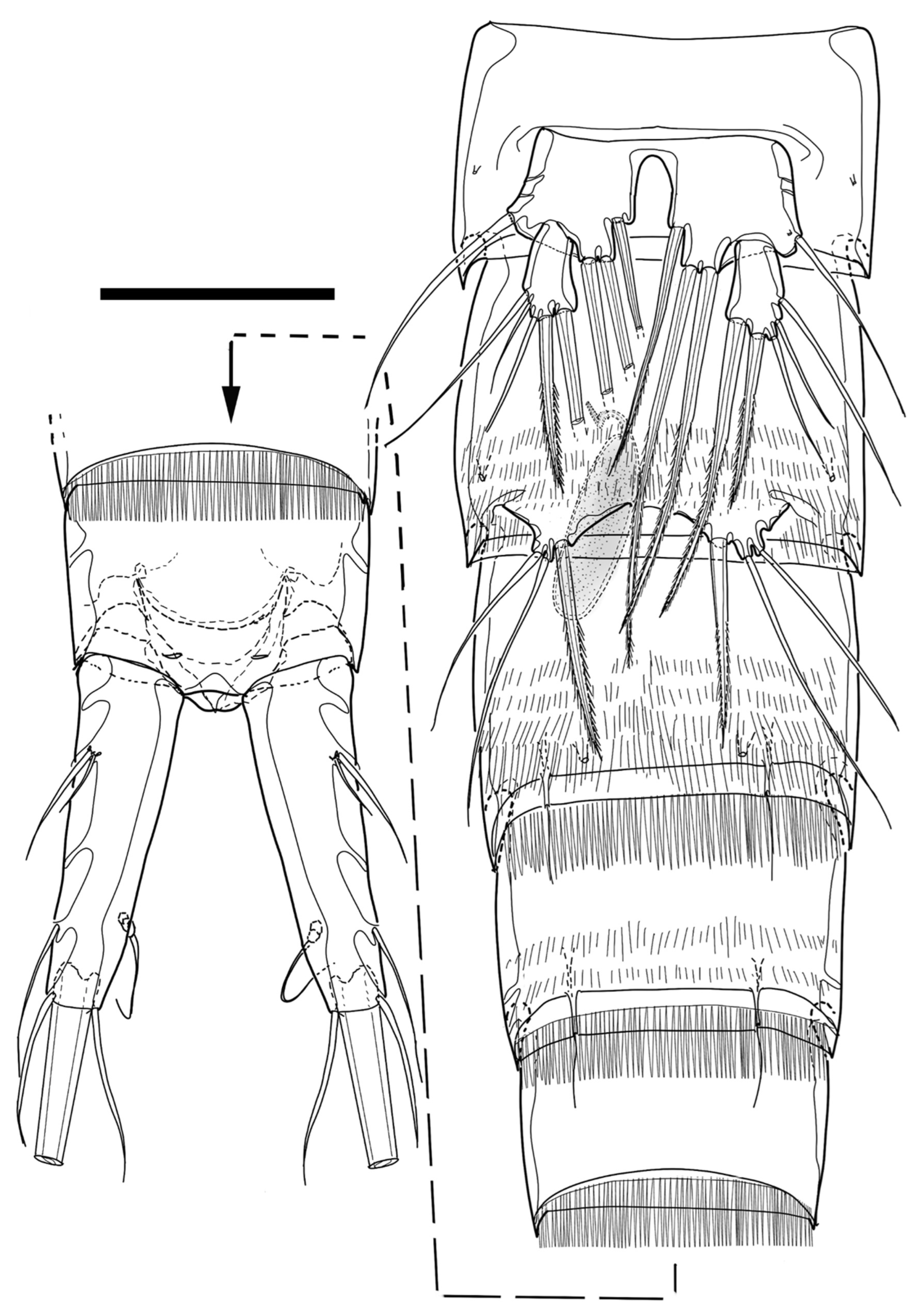 Diversity 15 00097 g035