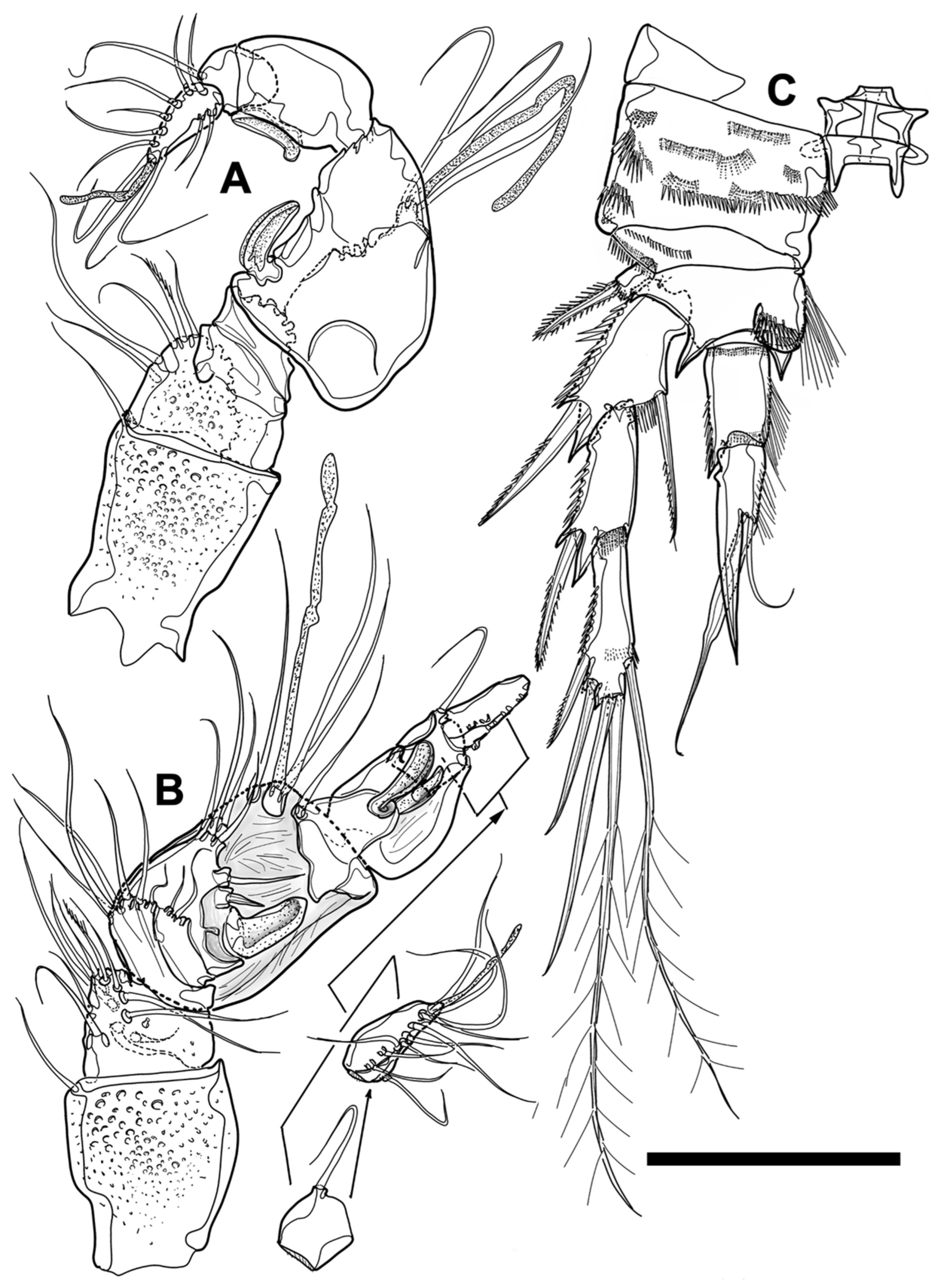 Diversity 15 00097 g036