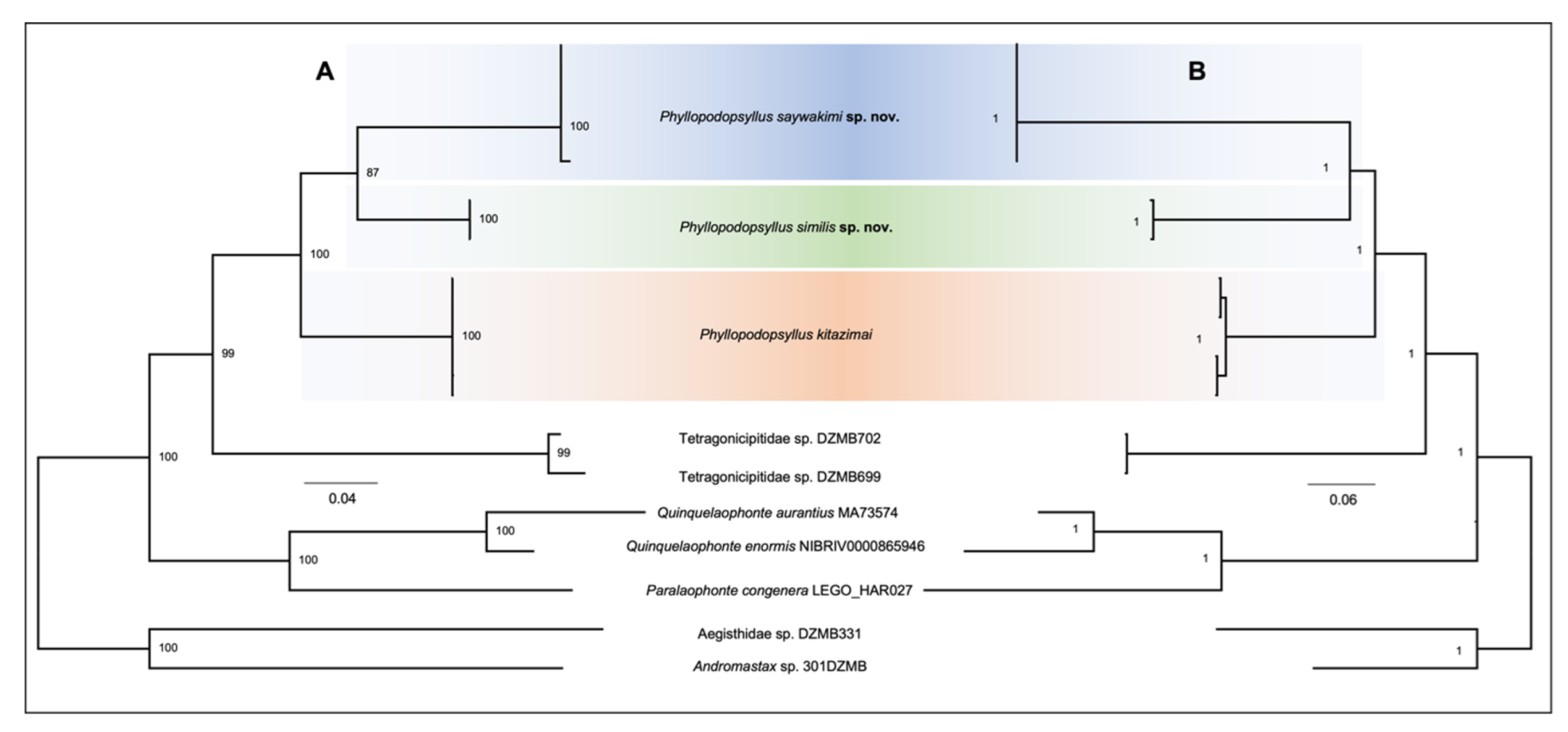 Diversity 15 00097 g038