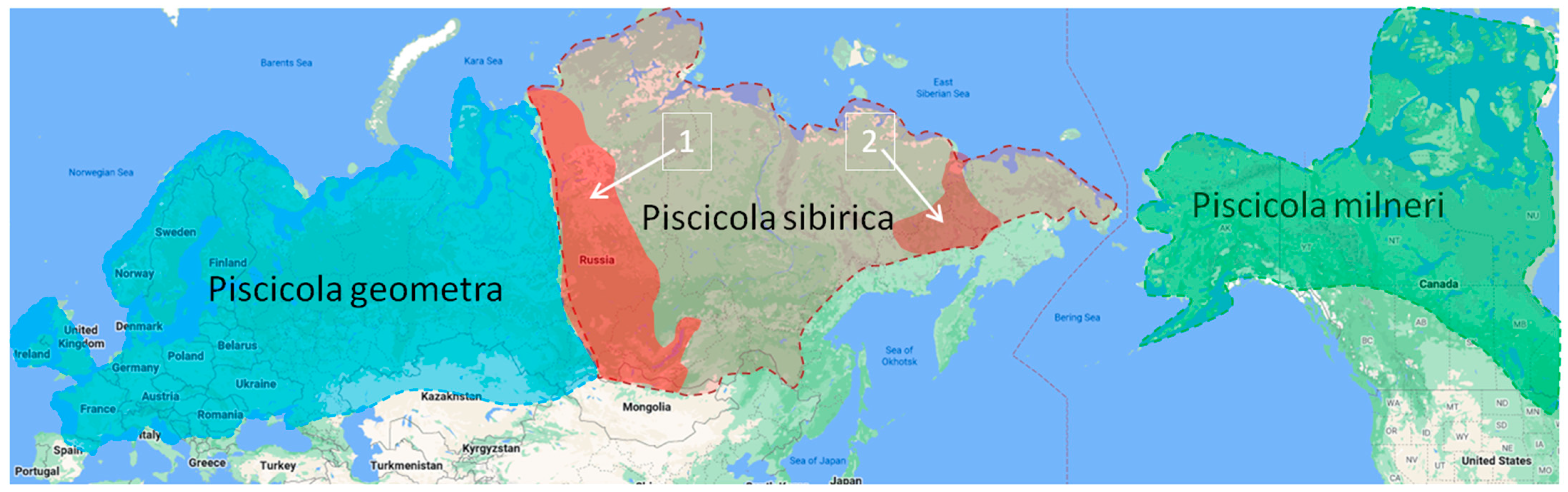 Diversity 15 00098 g009