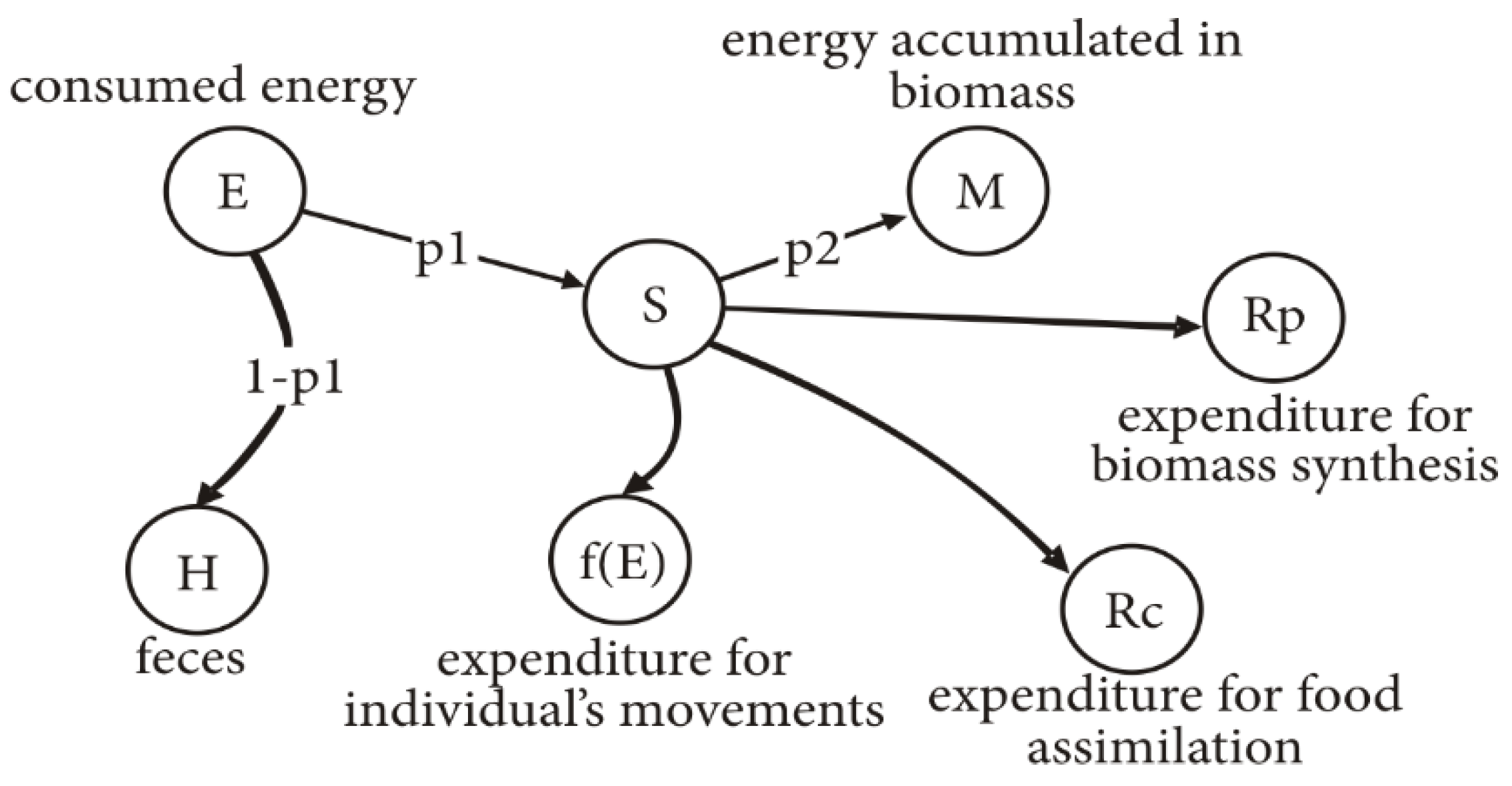 Diversity 15 00102 g001