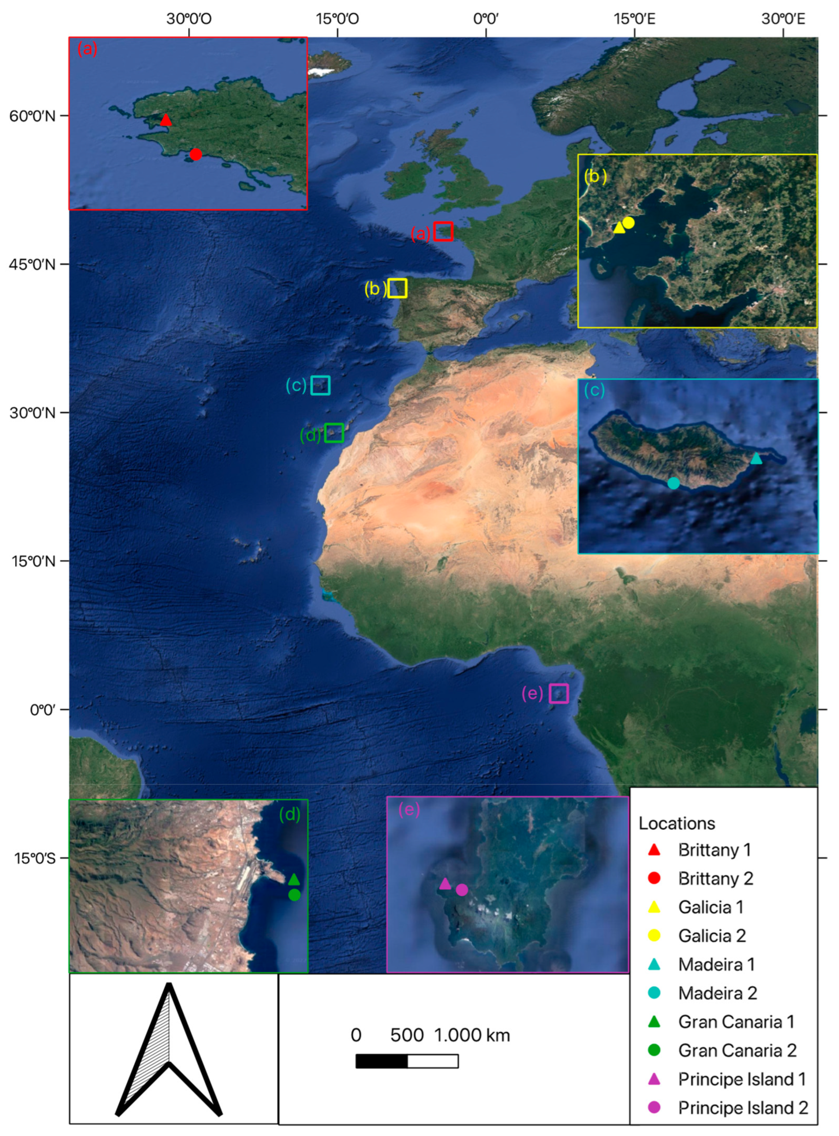 Diversity 15 00103 g002 Diversity 15 00103 g002