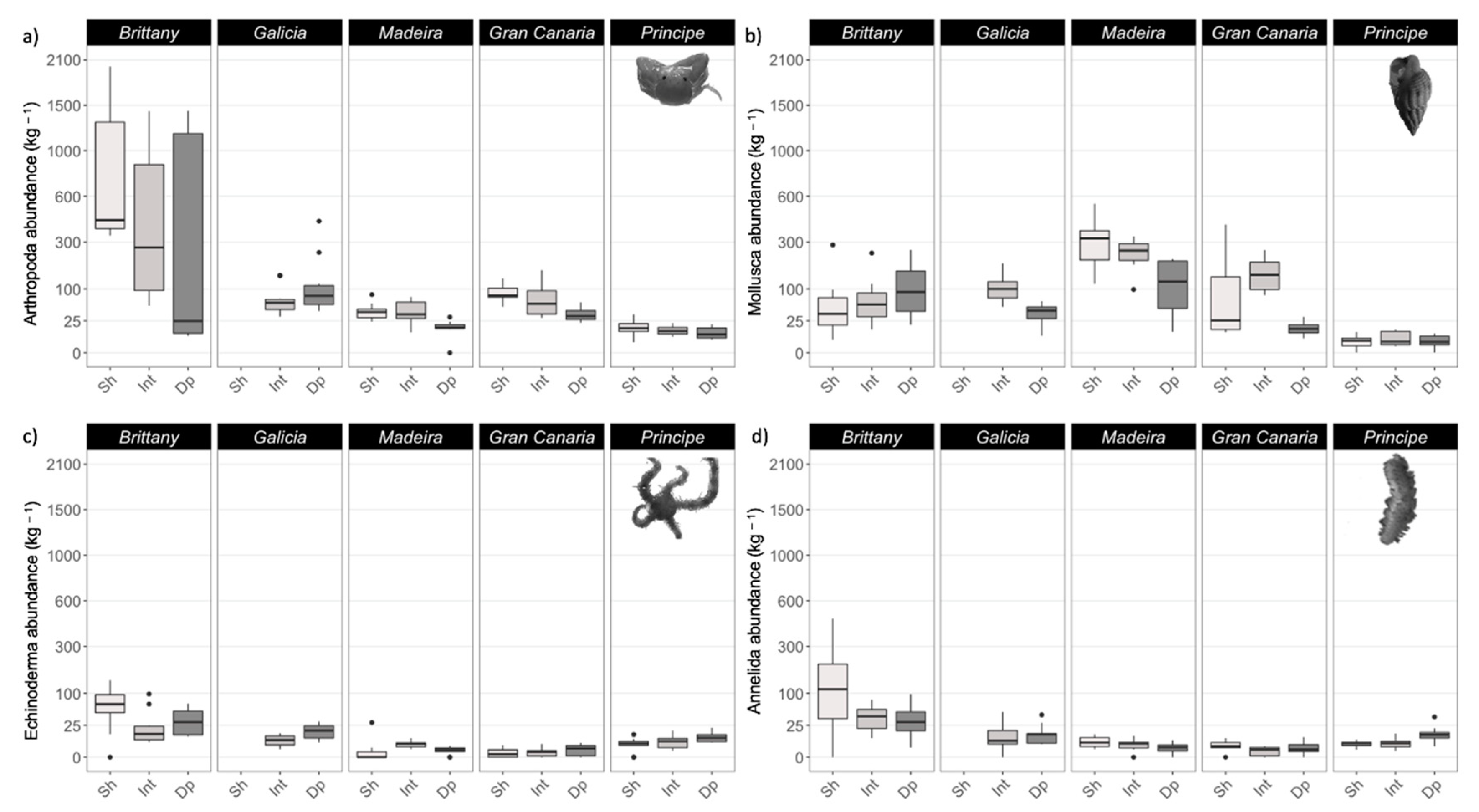 Diversity 15 00103 g006 Diversity 15 00103 g006