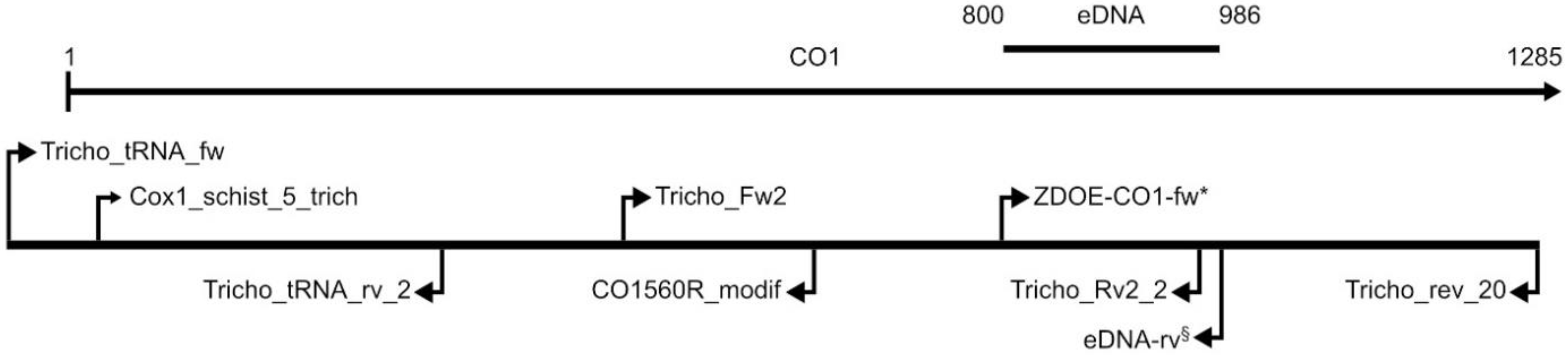 Diversity 15 00104 g001